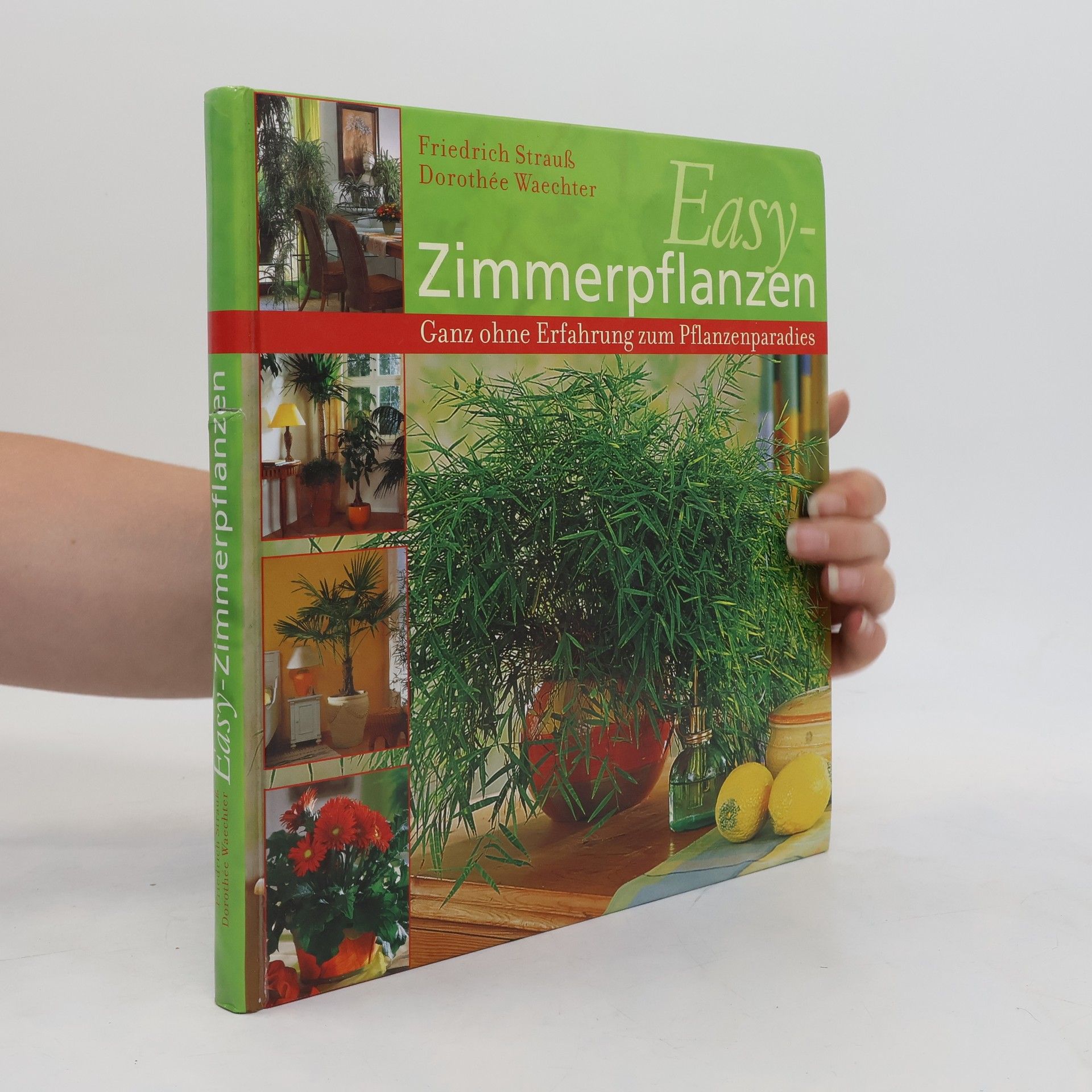 Friedrich Strauß Easy Zimmerpflanzen