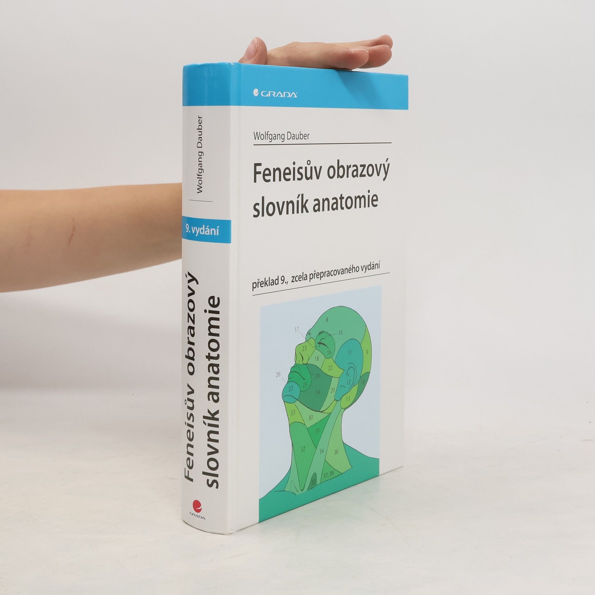 Wolfgang Dauber Feneisův obrazový slovník anatomie