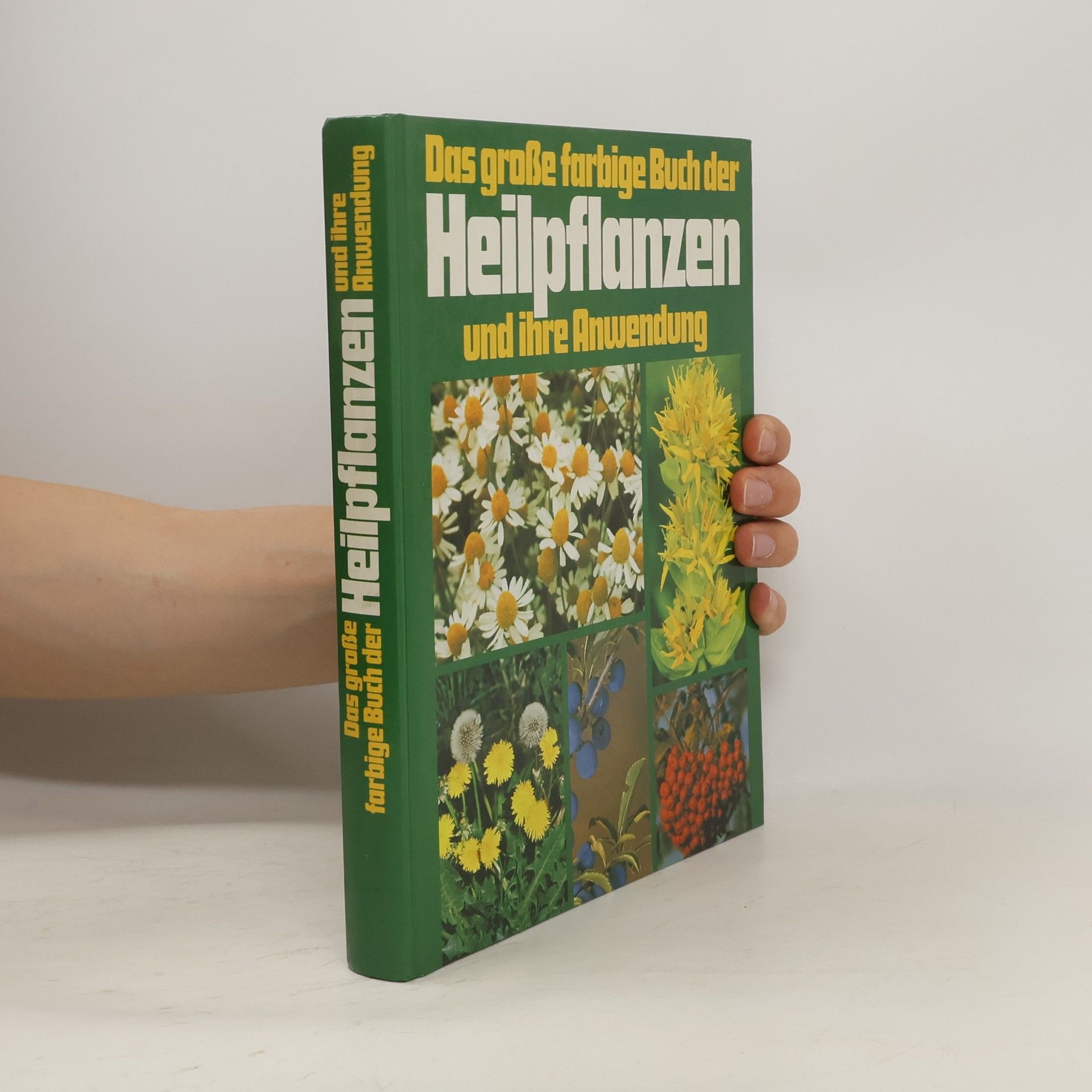 Autorenkollektiv Das große farbige Buch der Heilpflanzen und ihre Anwendung
