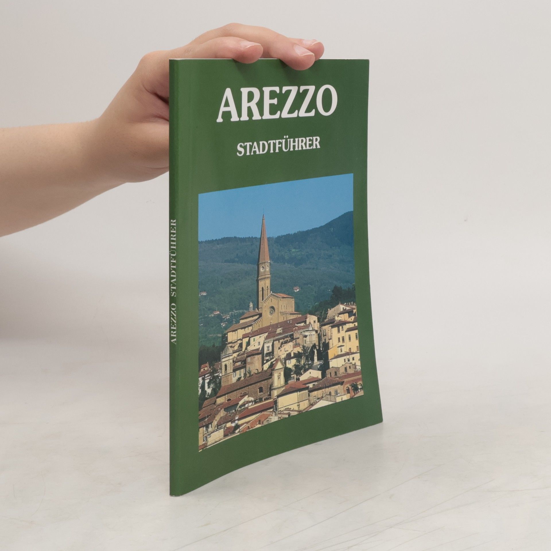 AA.VV. Arezzo Stadtführer