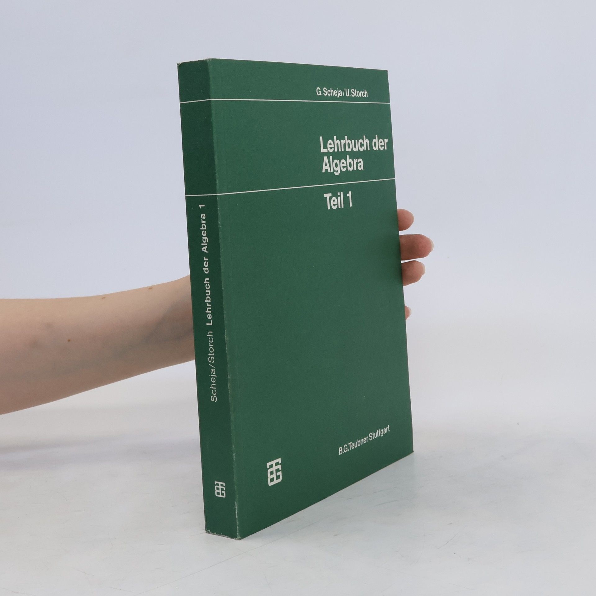 Günter Scheja Lehrbuch der Algebra 1