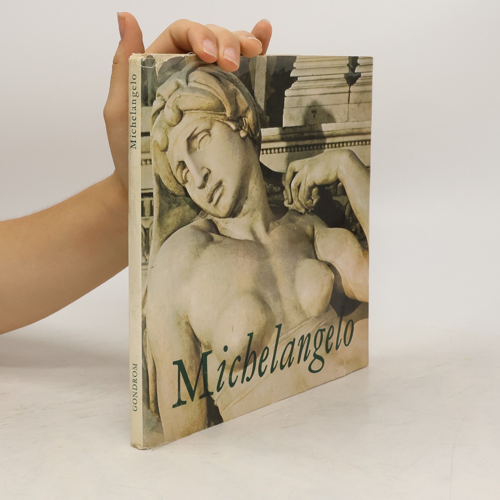 kolektiv Michelangelo
