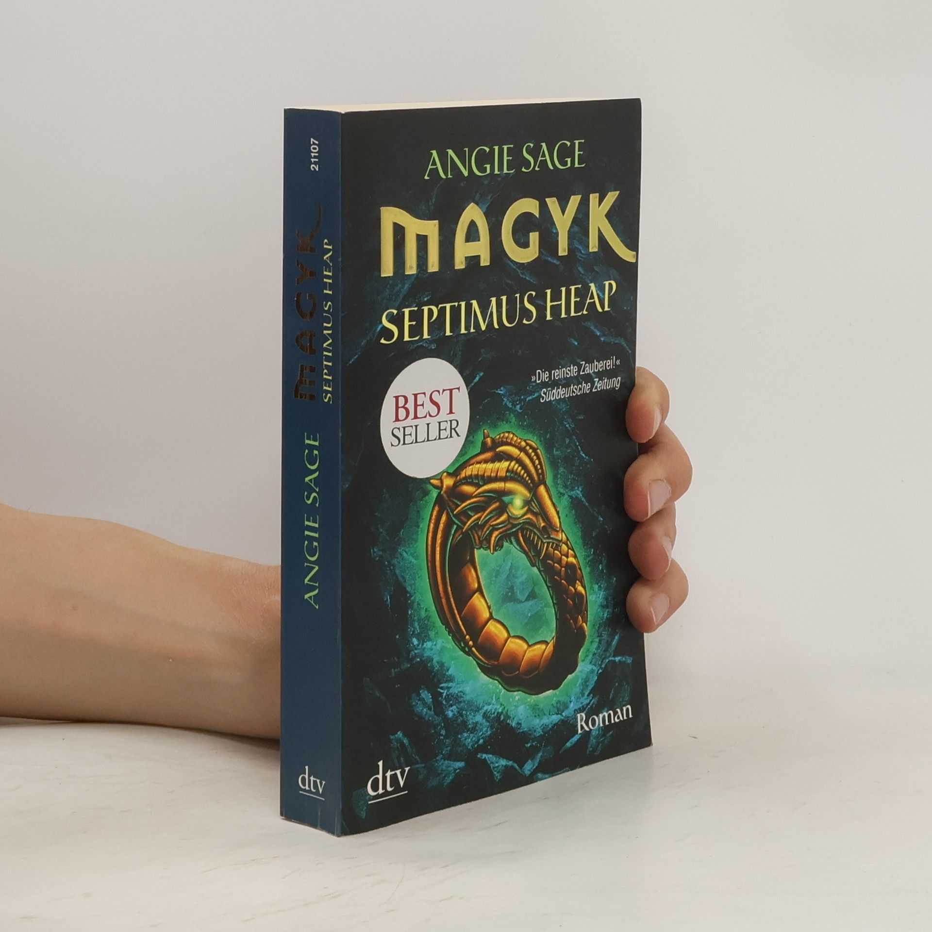 Angie Sage Septimus Heap