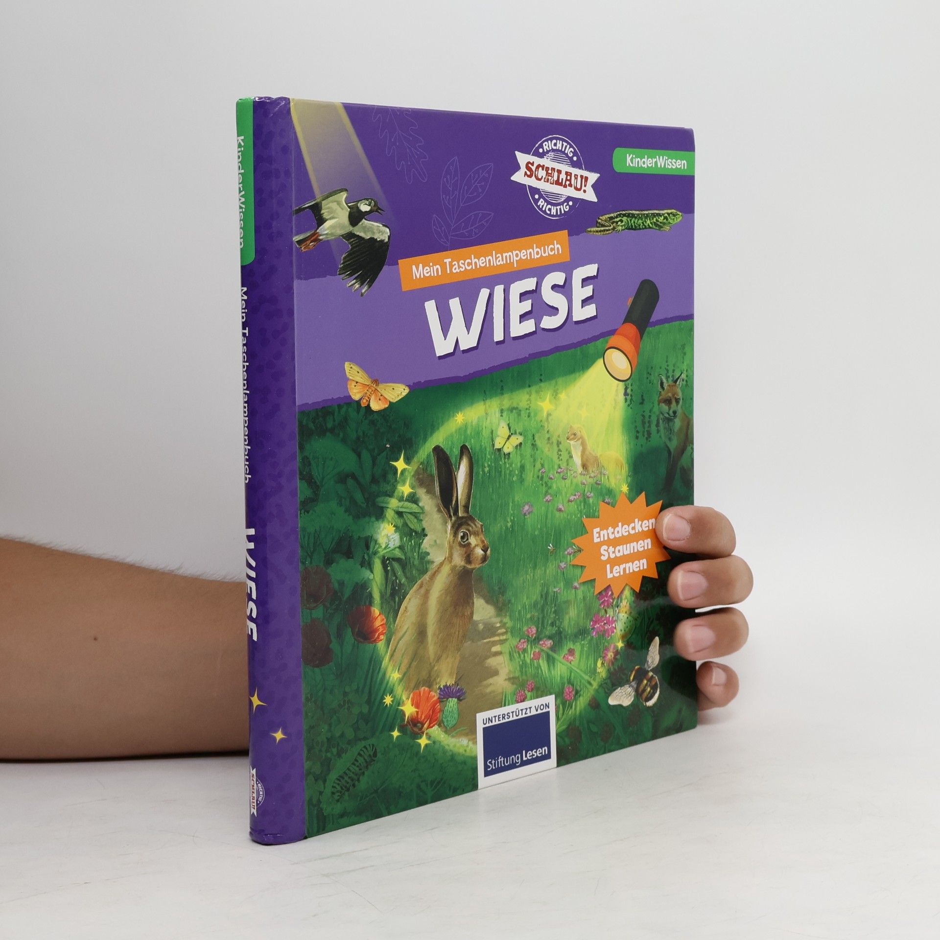 Auteurscollectief Mein Taschenlampenbuch wiese