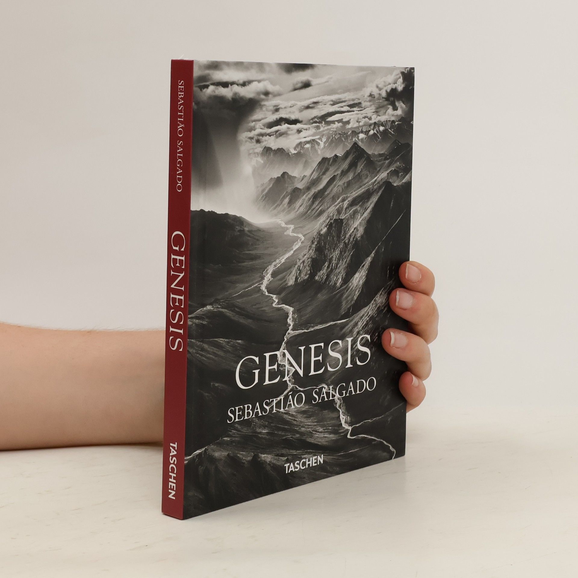 Sebastião Salgado Genesis