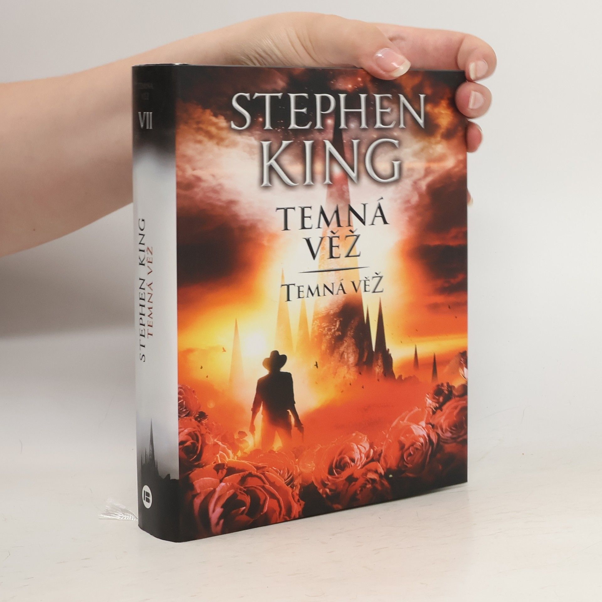 Stephen King Temná věž VII. Temná věž