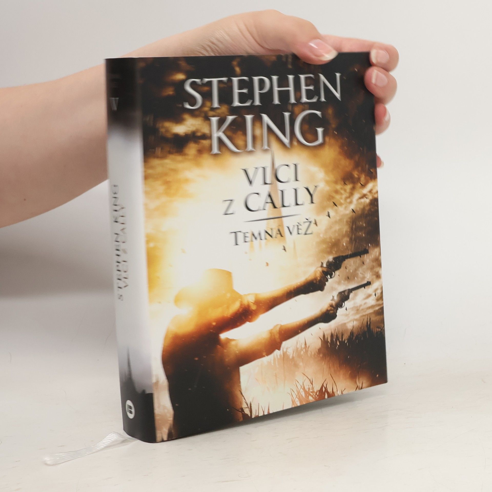 Stephen King Temná věž V.