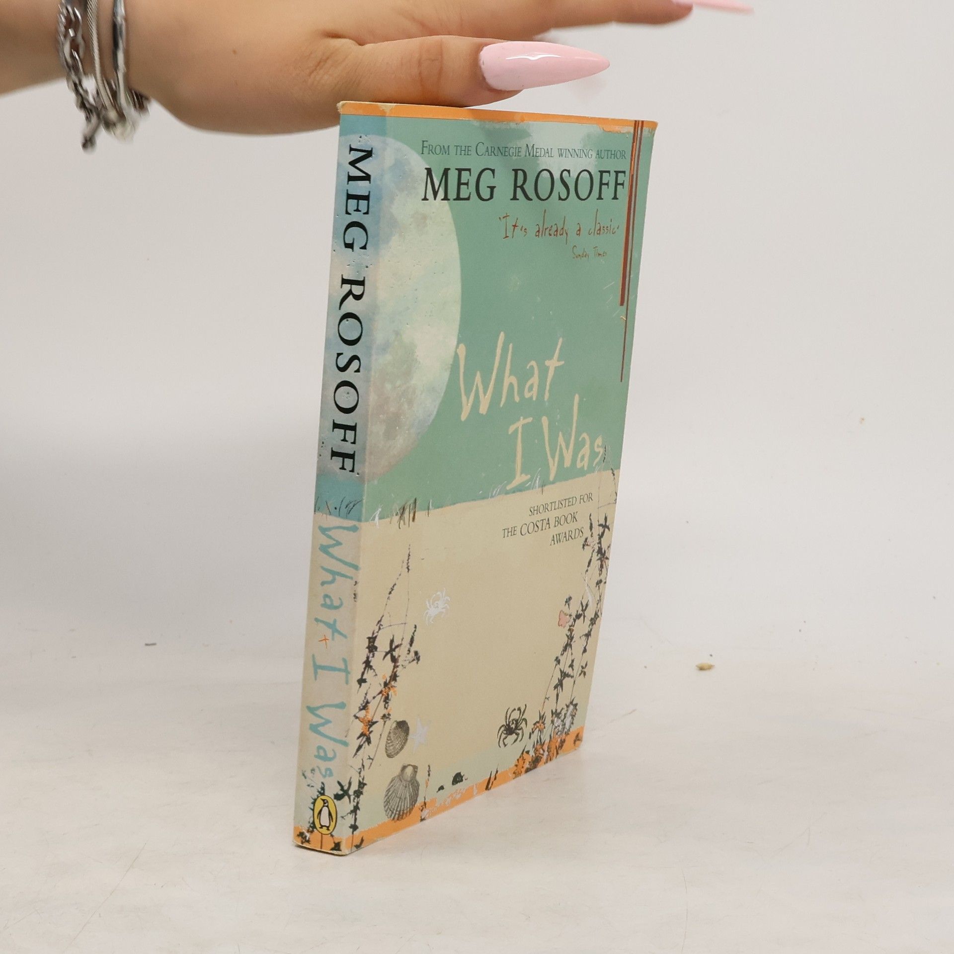 Meg Rosoff What I was