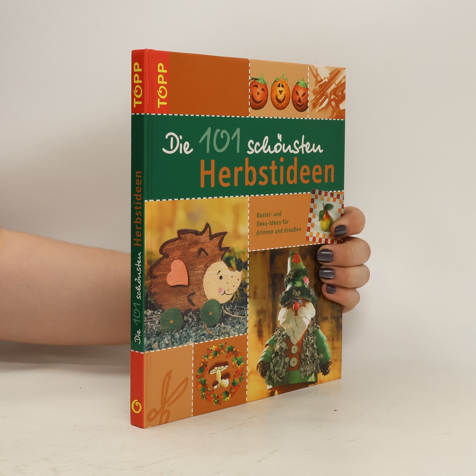 Monika Berger Die 101 schönsten Herbstideen
