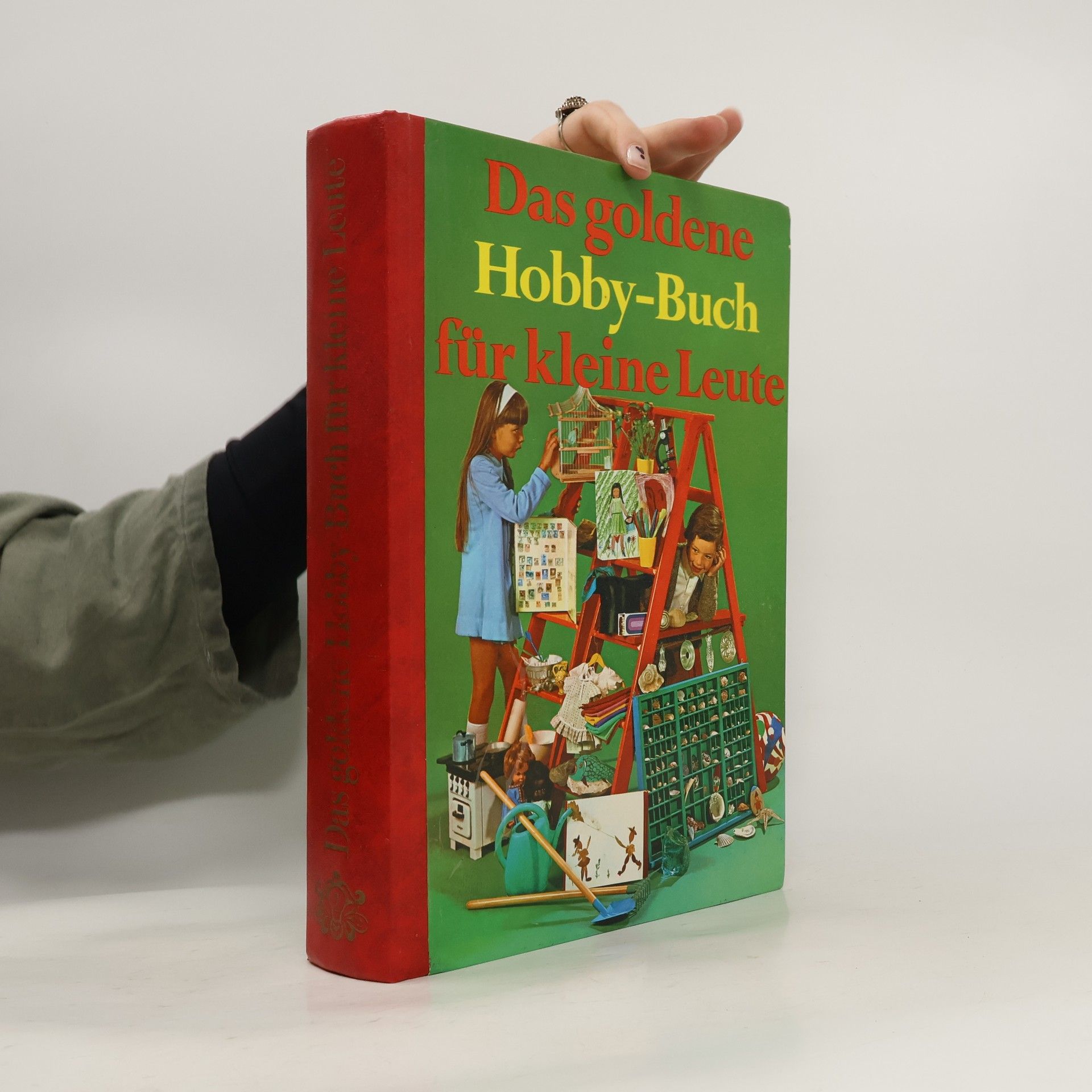 Roger Seitz Das goldene Hobby-Buch für kleine Leute
