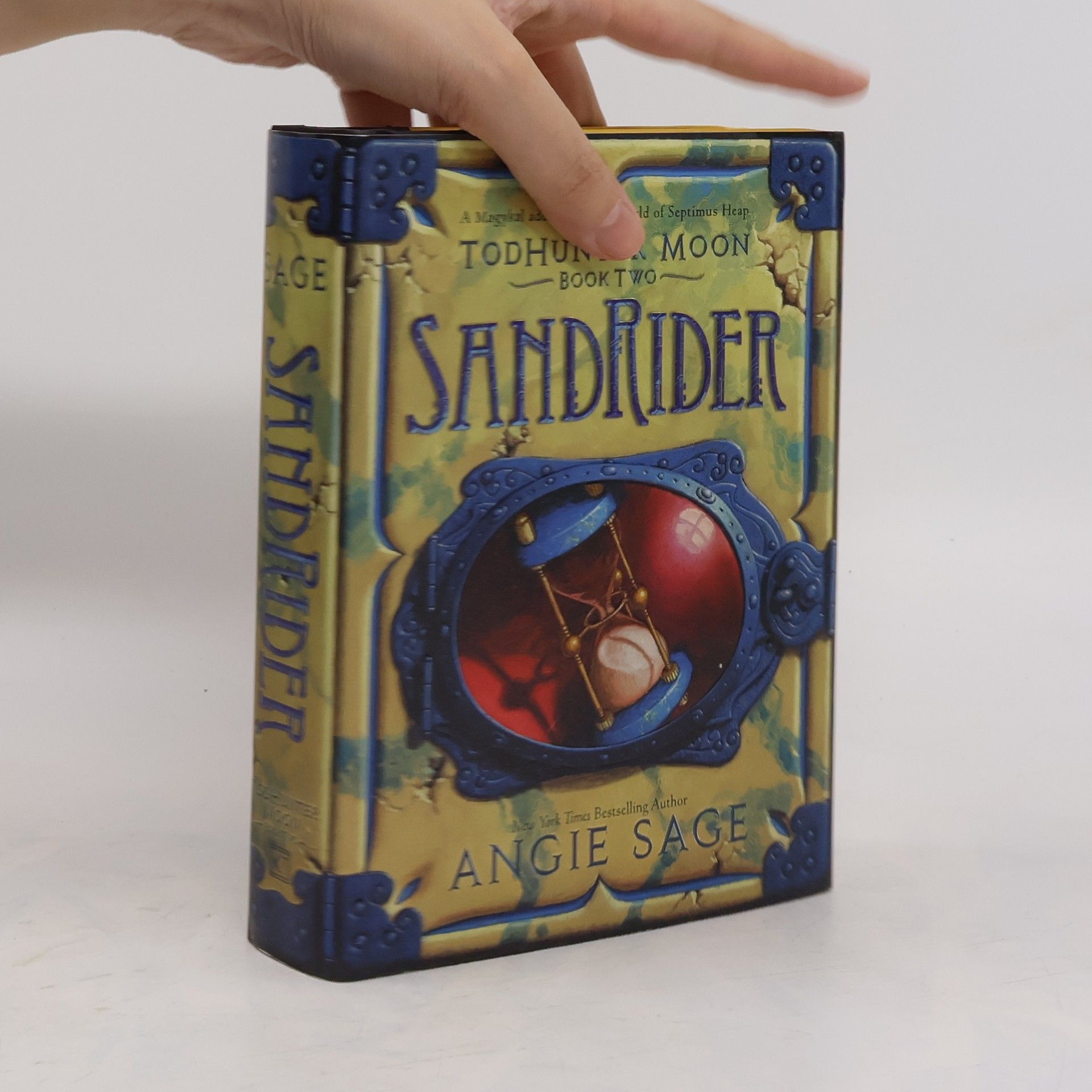 Angie Sage Todhunter Moon, Book Two: Sandrider