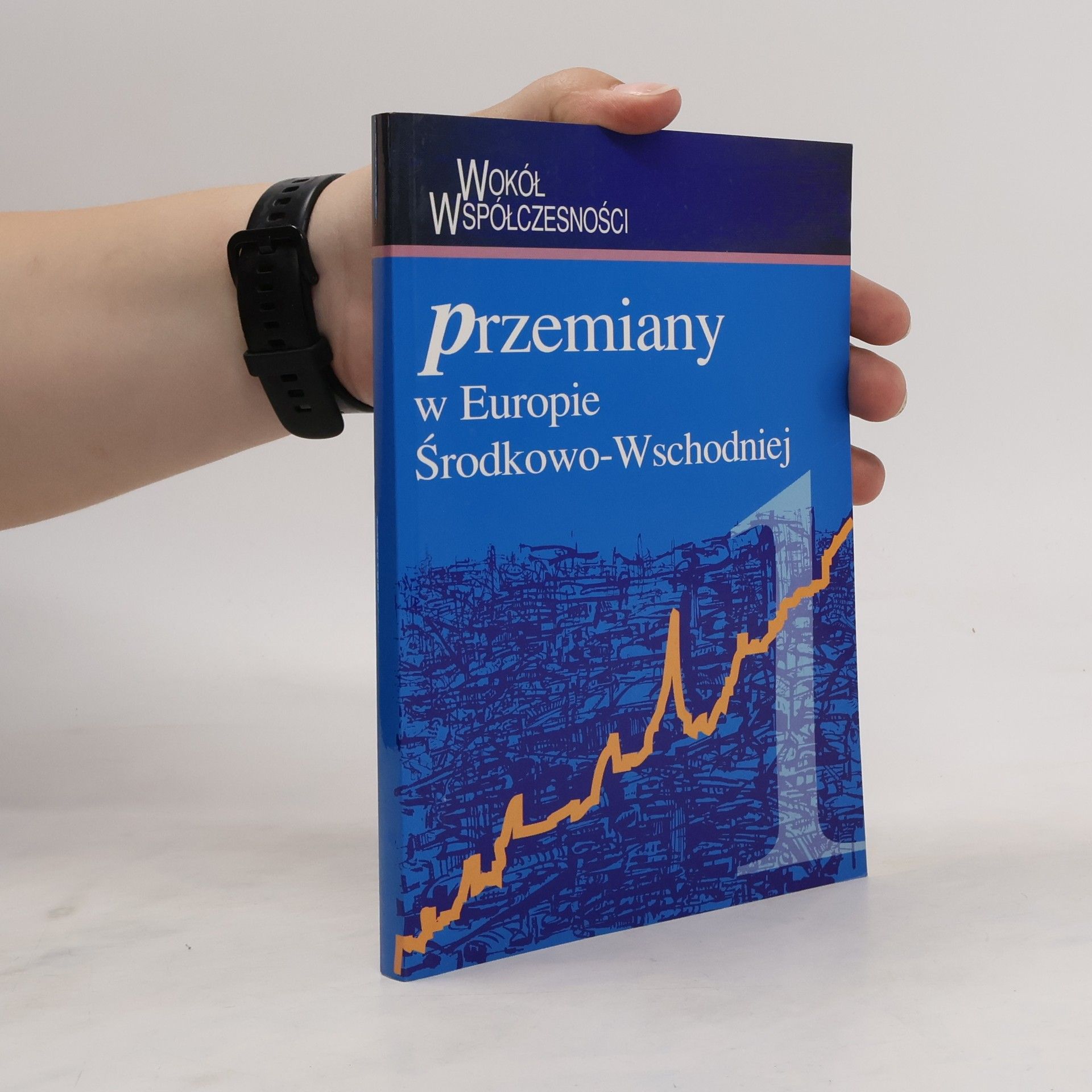 Collectif d'auteurs Przemiany w Europie Środkowo-Wschodniej