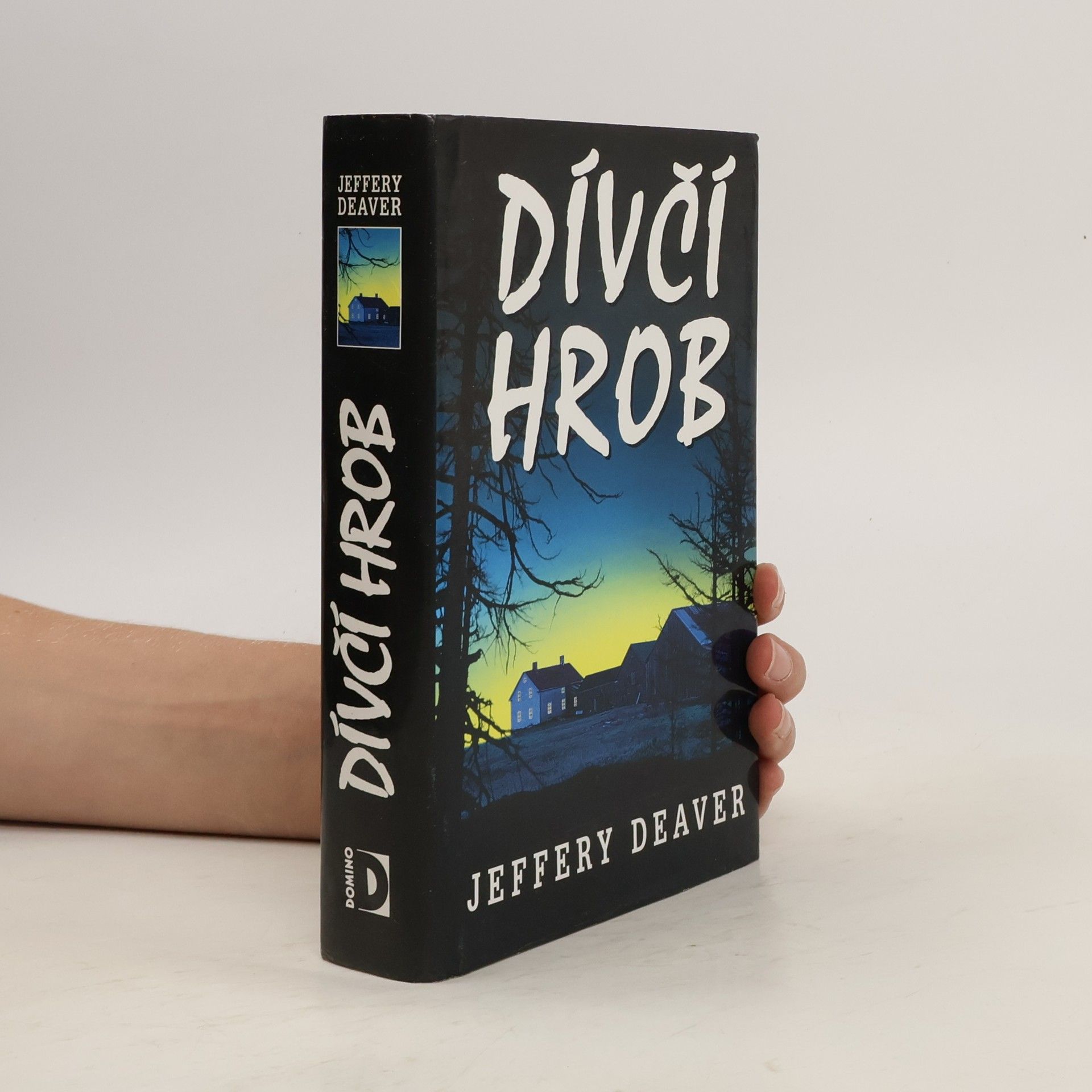 Jeffery Deaver Dívčí hrob