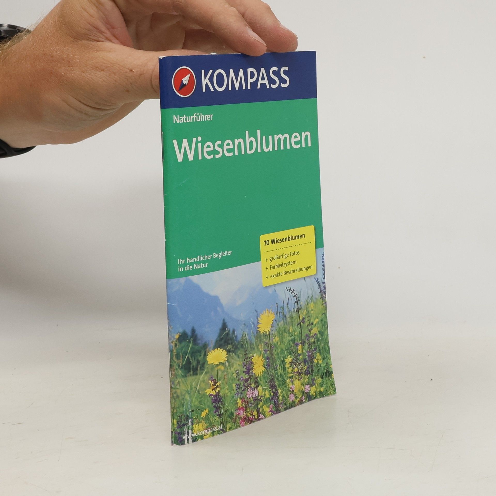 Autorenkollektiv Wiesenblumen