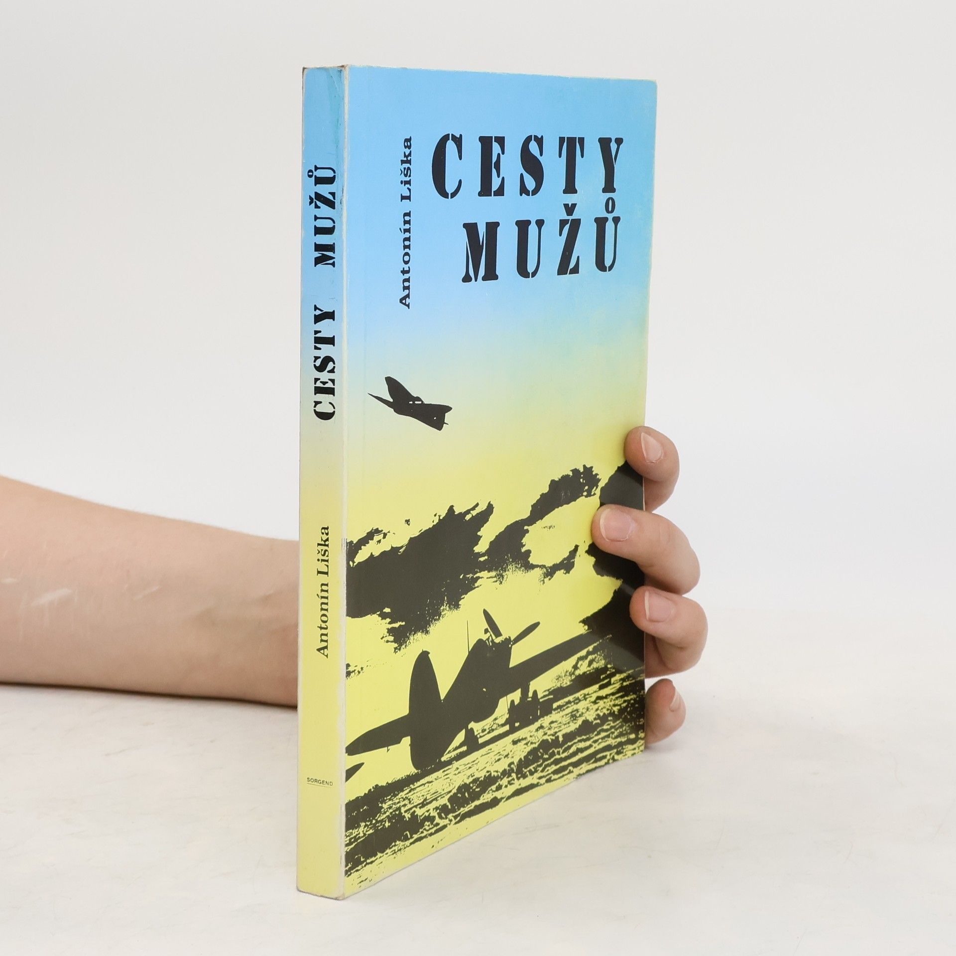 Antonín Liška Cesty mužů