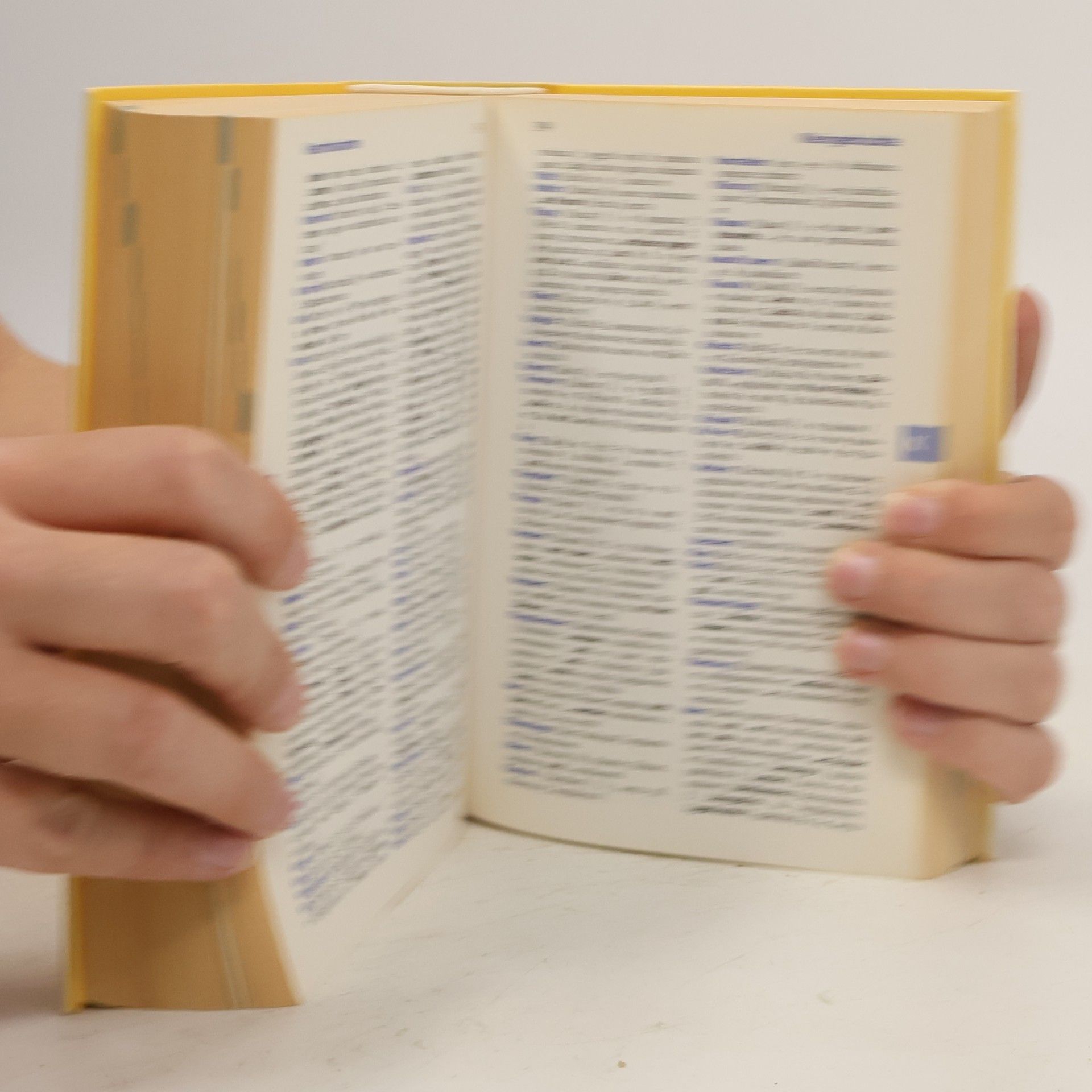 Kolektiv autorů Langenscheidt Wörterbuch Italienisch. Italienisch-Deutsch, Deutsch-Italienisch. 45.000 Stichwörter und Wendungen