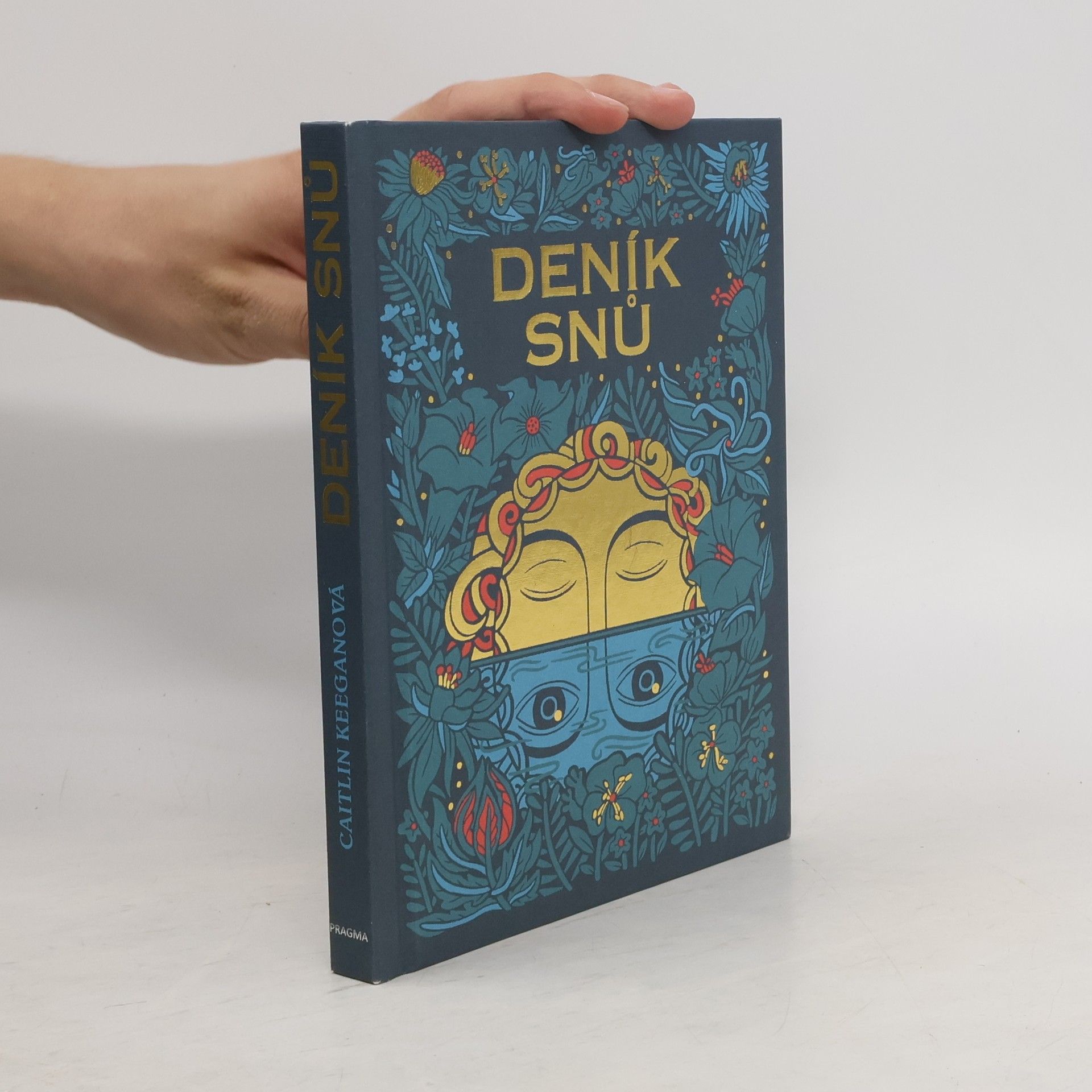 Caitlin Keegan Deník snů