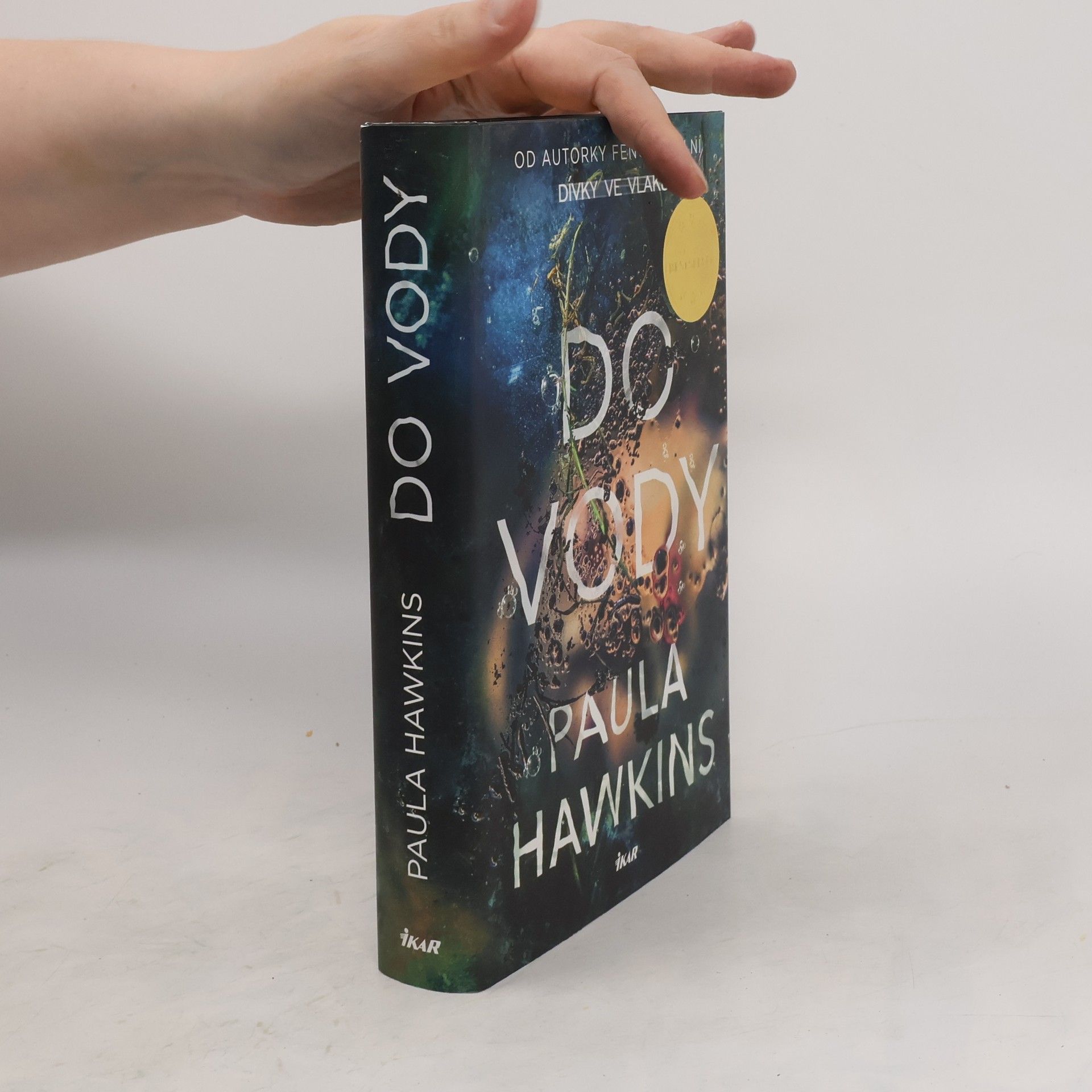 Paula Hawkins Do vody
