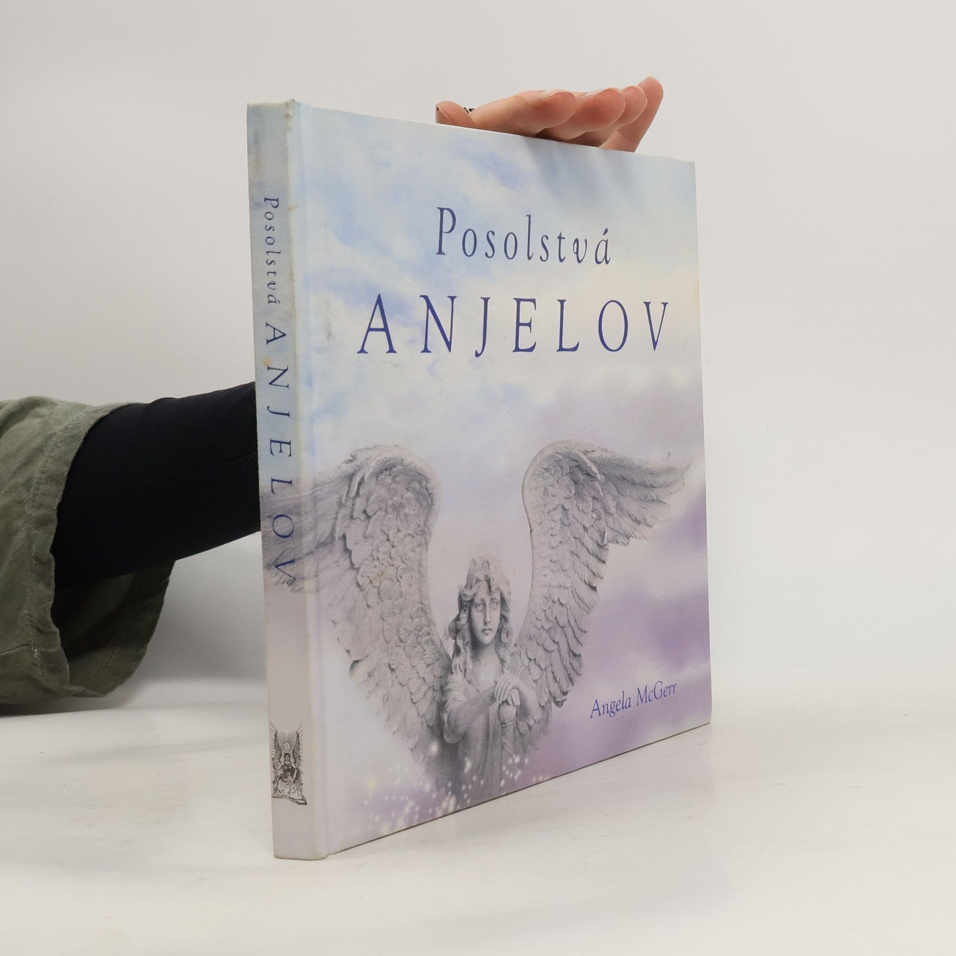 Ange McGerr Posolstvá anjelov