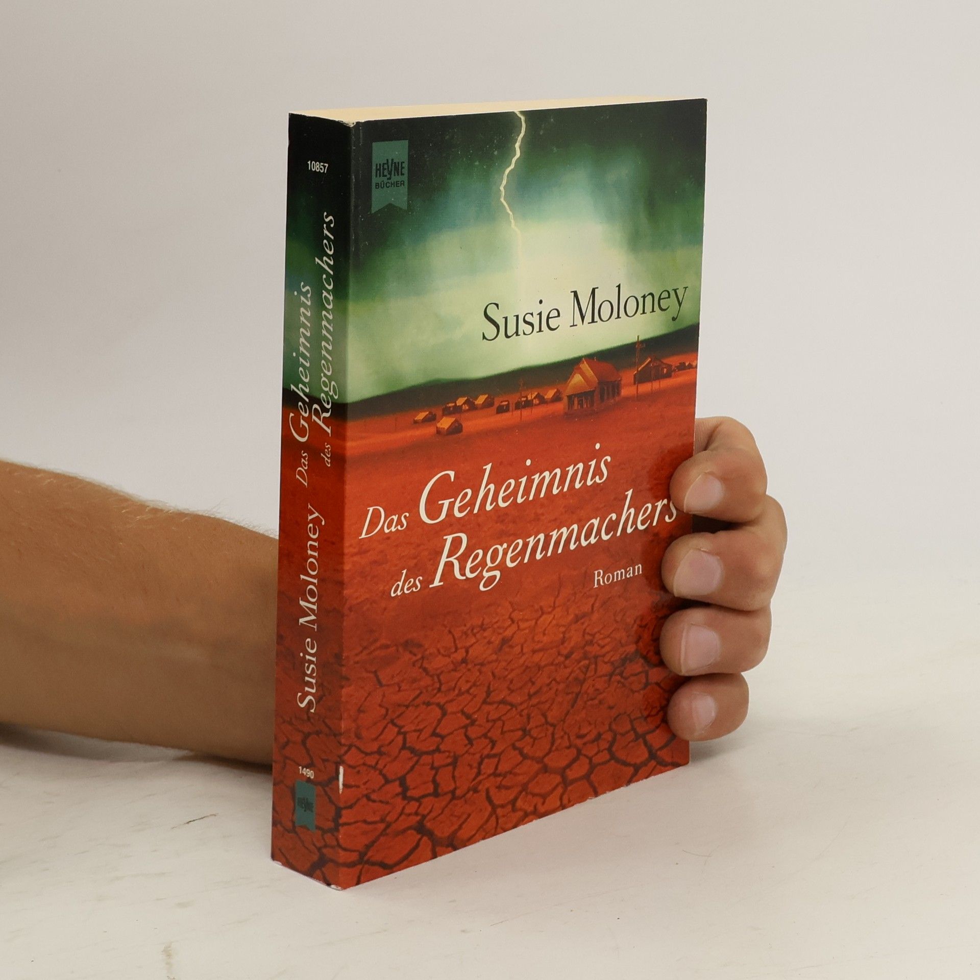 Susie Moloney Das Geheimnis des Regenmachers