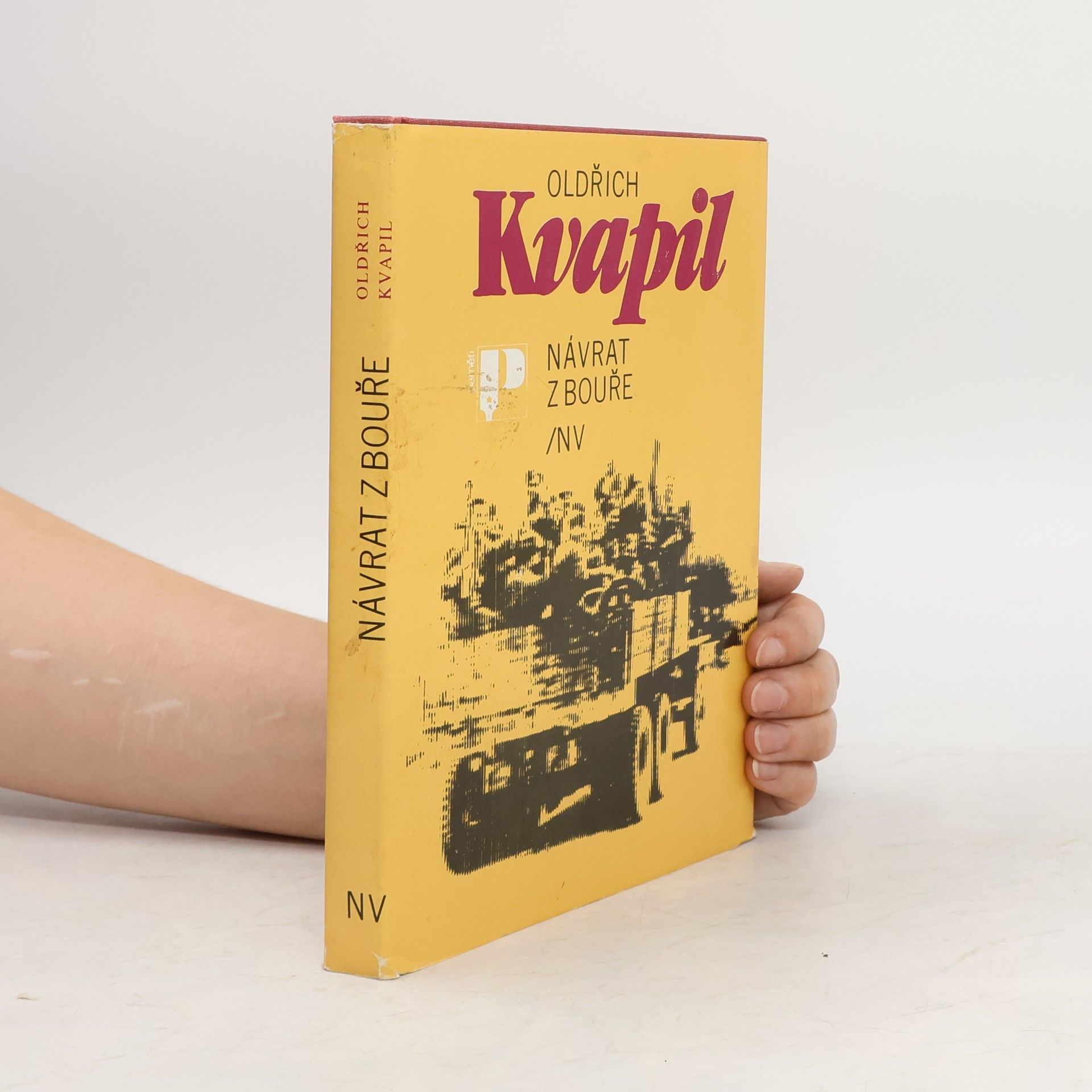 Oldřich Kvapil Návrat z bouře