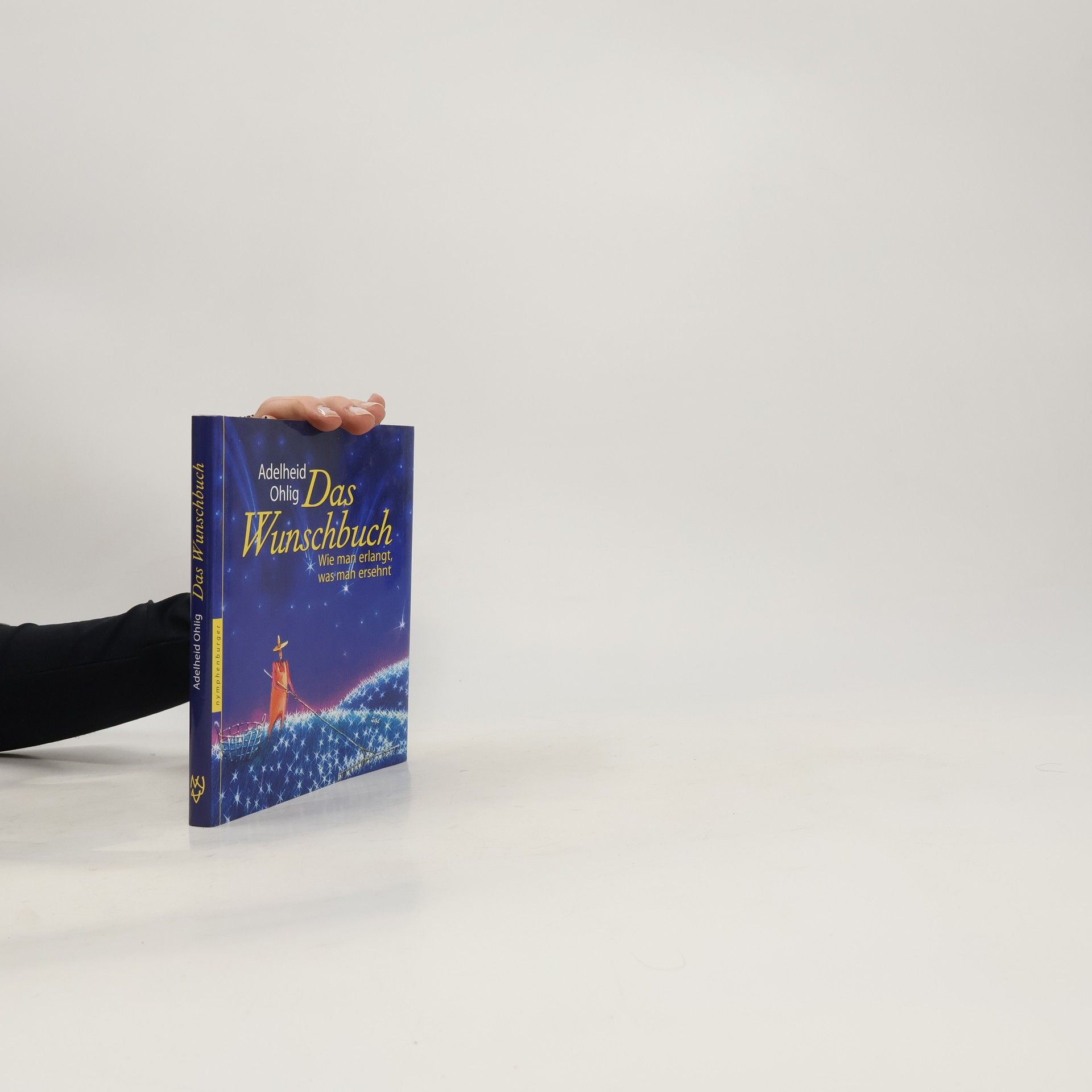 Adelheid Ohlig Das Wunschbuch