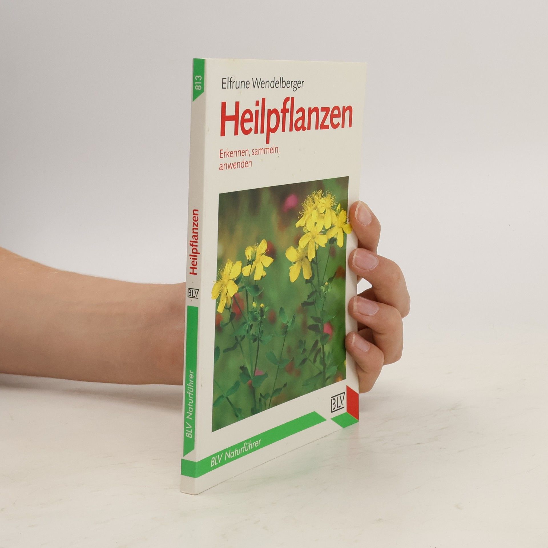 Elfrune Wendelberger Heilpflanzen