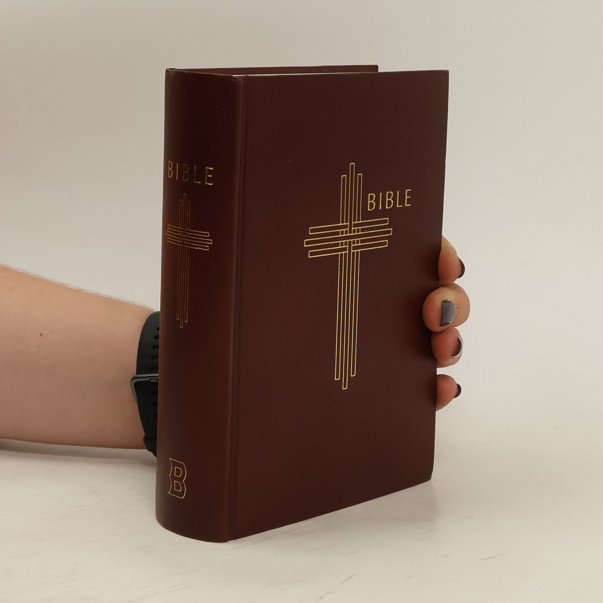 Miloš Bič Bible (český ekumenický překlad)