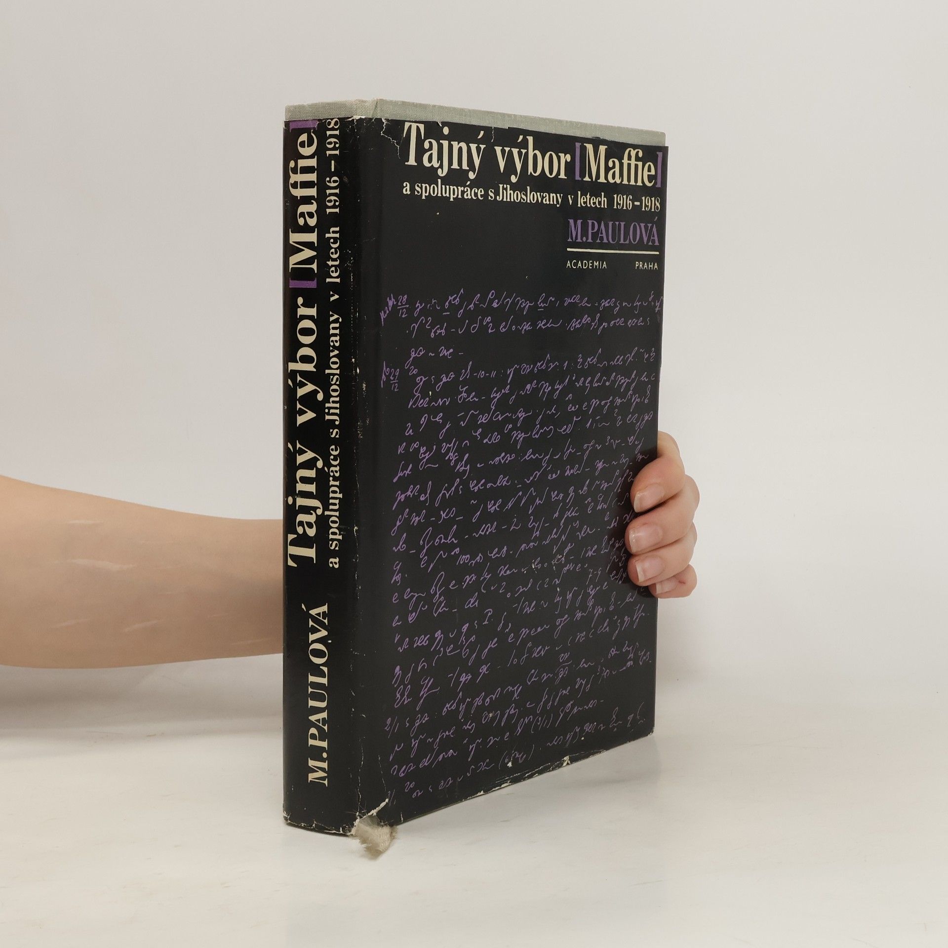 Milada Paulová Tajný výbor (MAFFIE) a spolupráce s Jihoslovany v letech 1916-1918