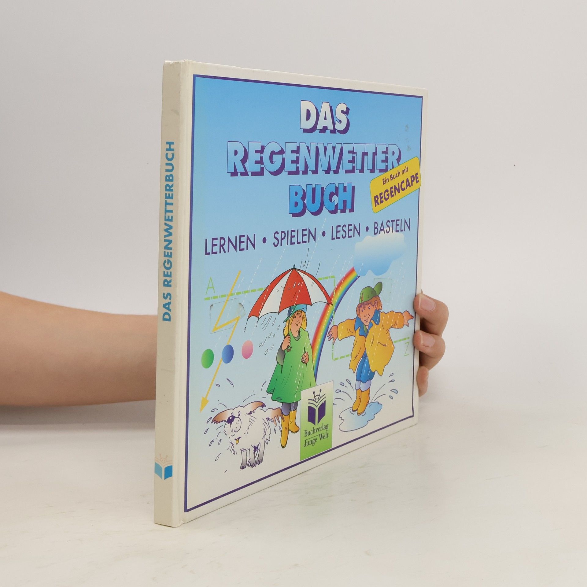 Reiner Flieger Das Regenwetter-Buch