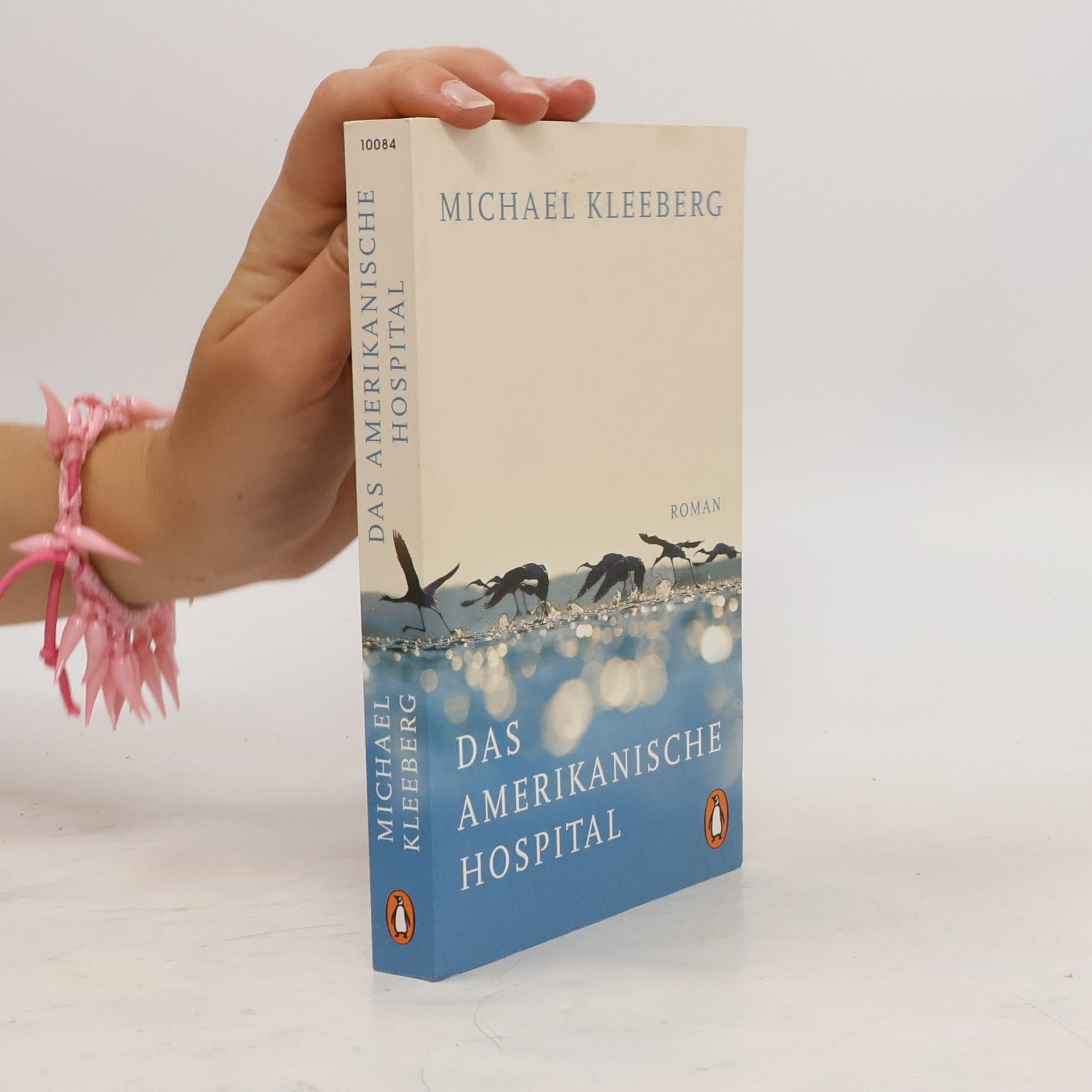 Michael Kleeberg Das amerikanische Hospital