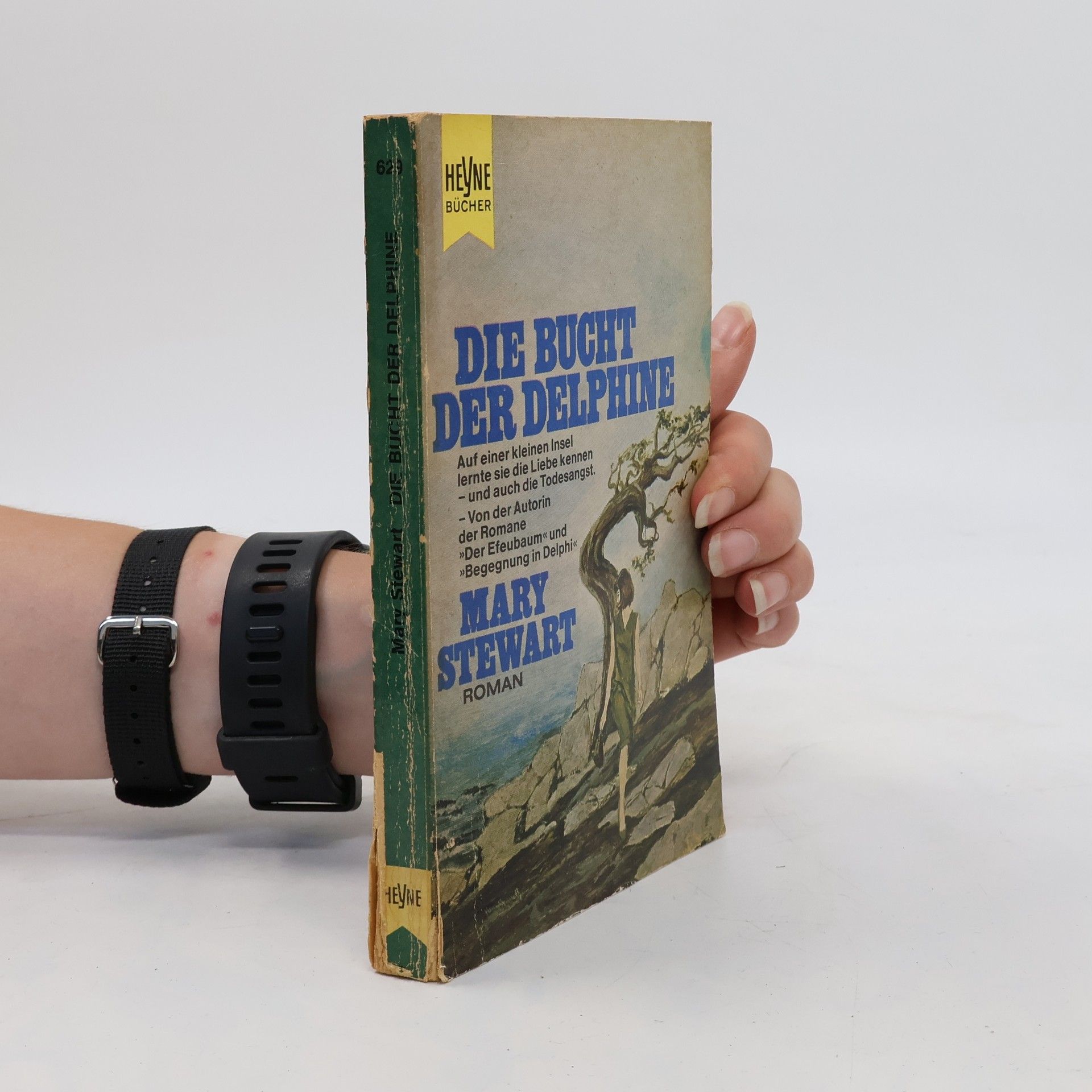 Mary Stewart-Wilson Die Bucht der Delphine