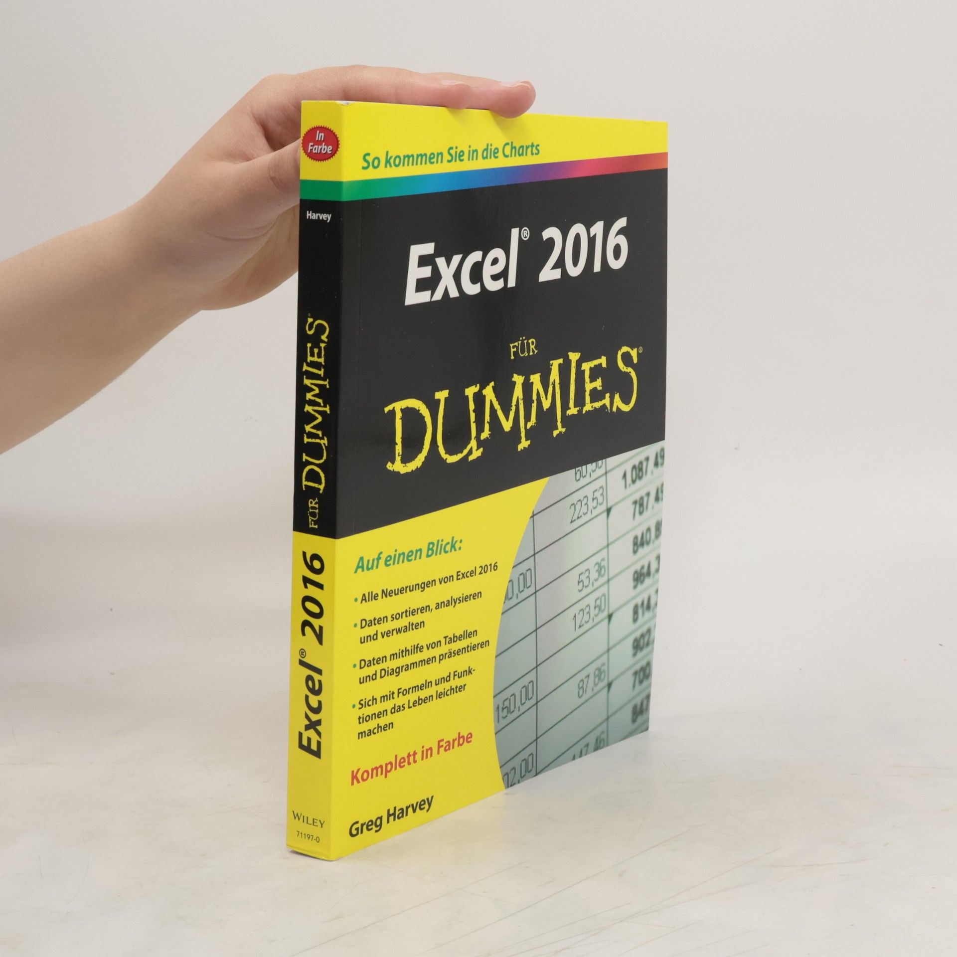 Greg Harvey Excel 2016 für Dummies