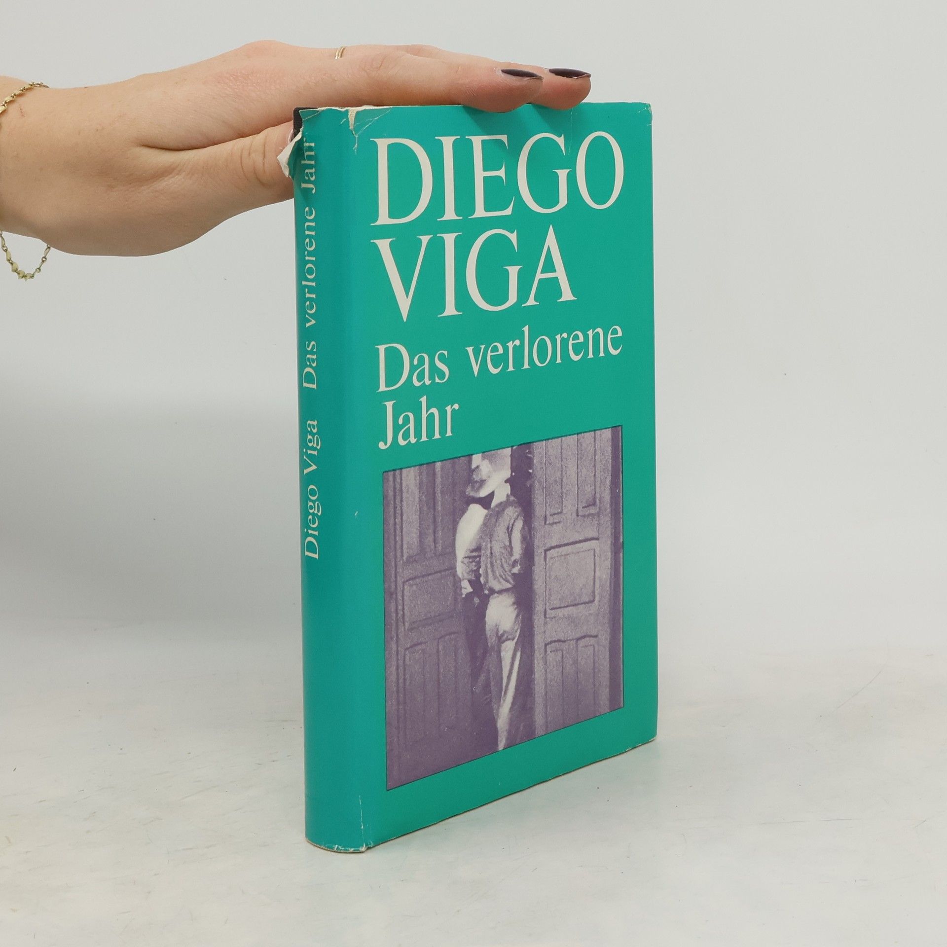 Diego Viga Das verlorene Jahr