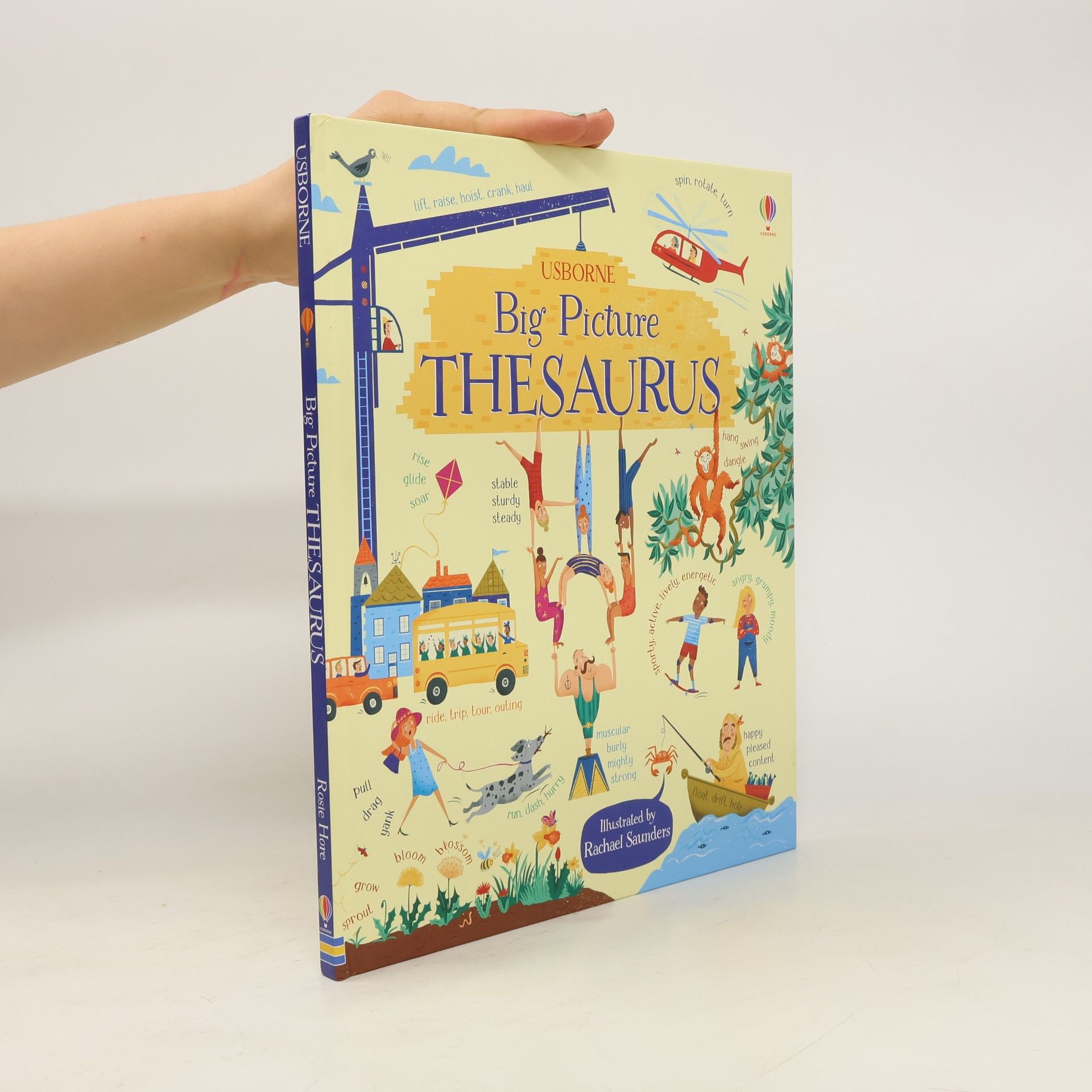 Rosie Hore Big Picture Thesaurus