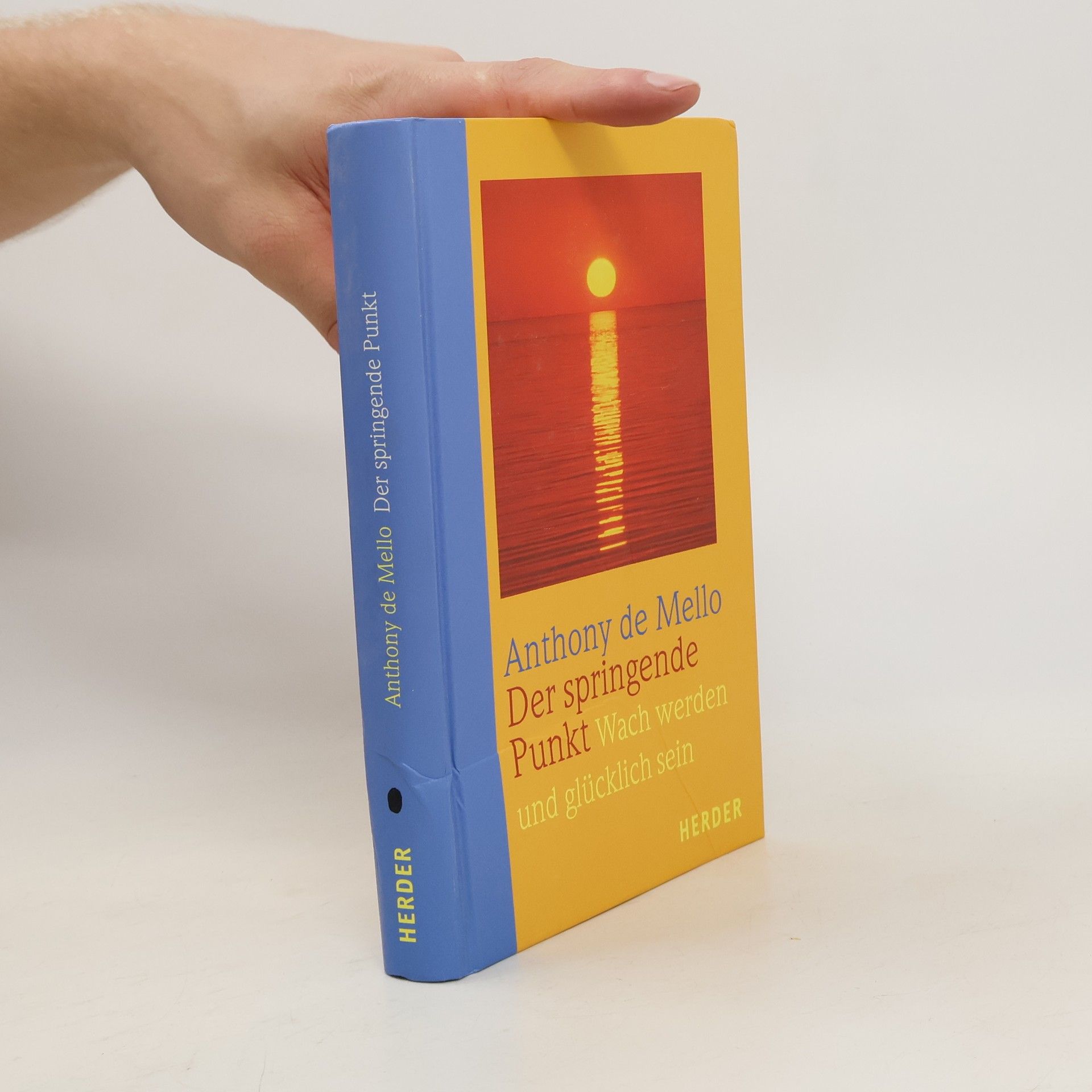 Anthony de Mello Der springende Punkt