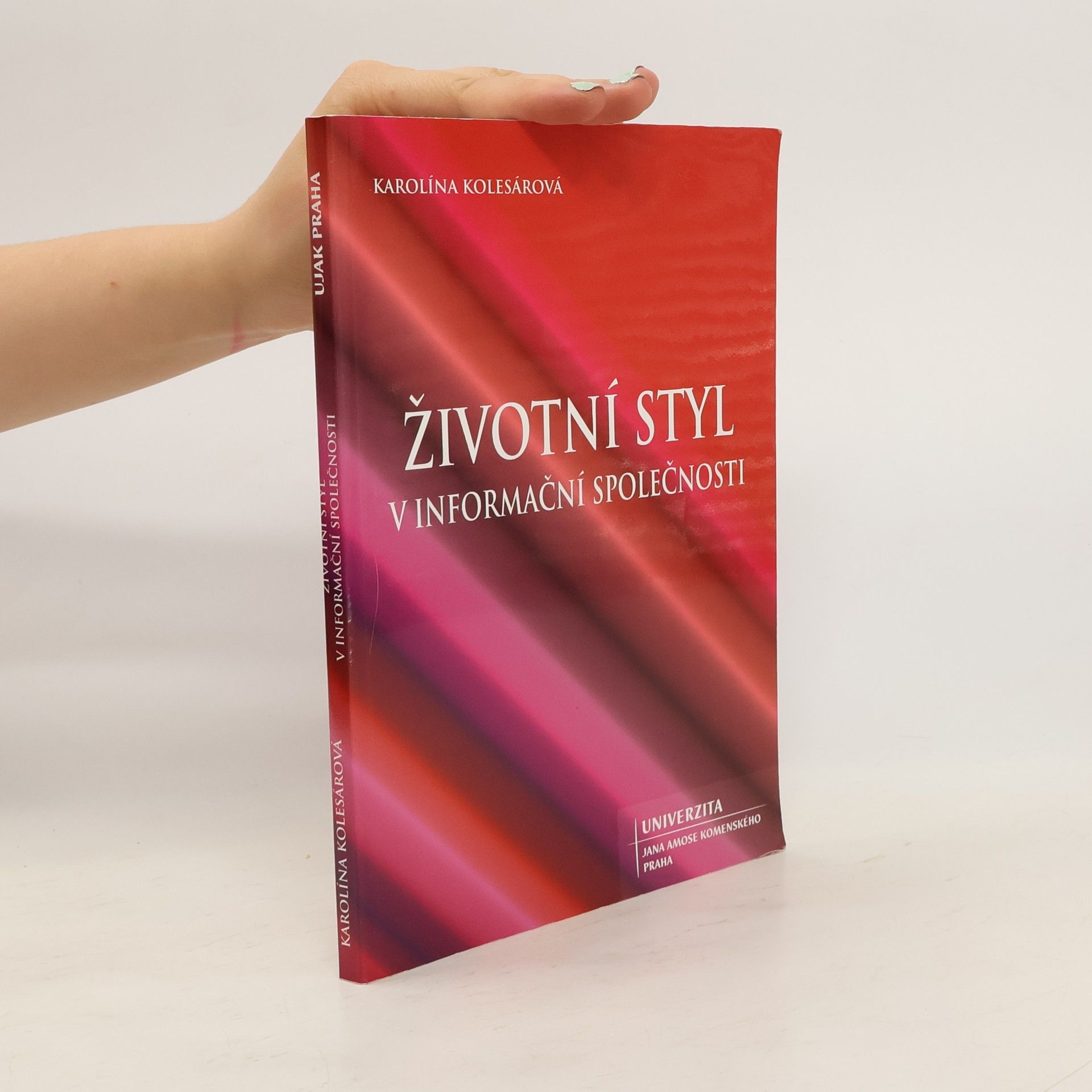 Karolína Kolesárová Životní styl v informační společnosti