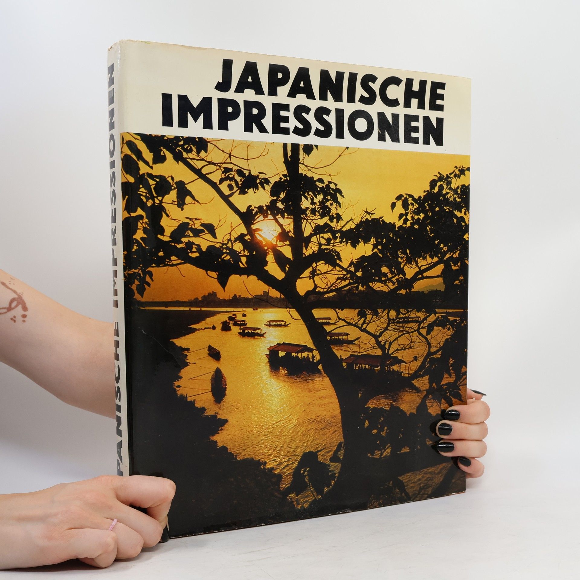 Autorenkollektiv Japanische Impressionen