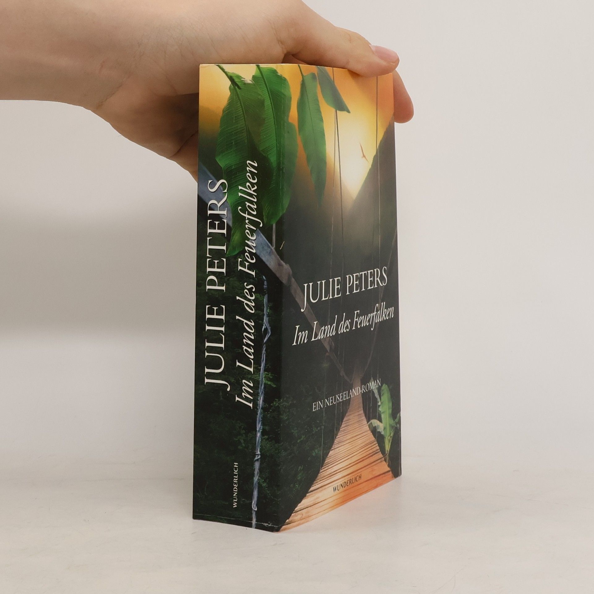 Julie Peters Im Land des Feuerfalken
