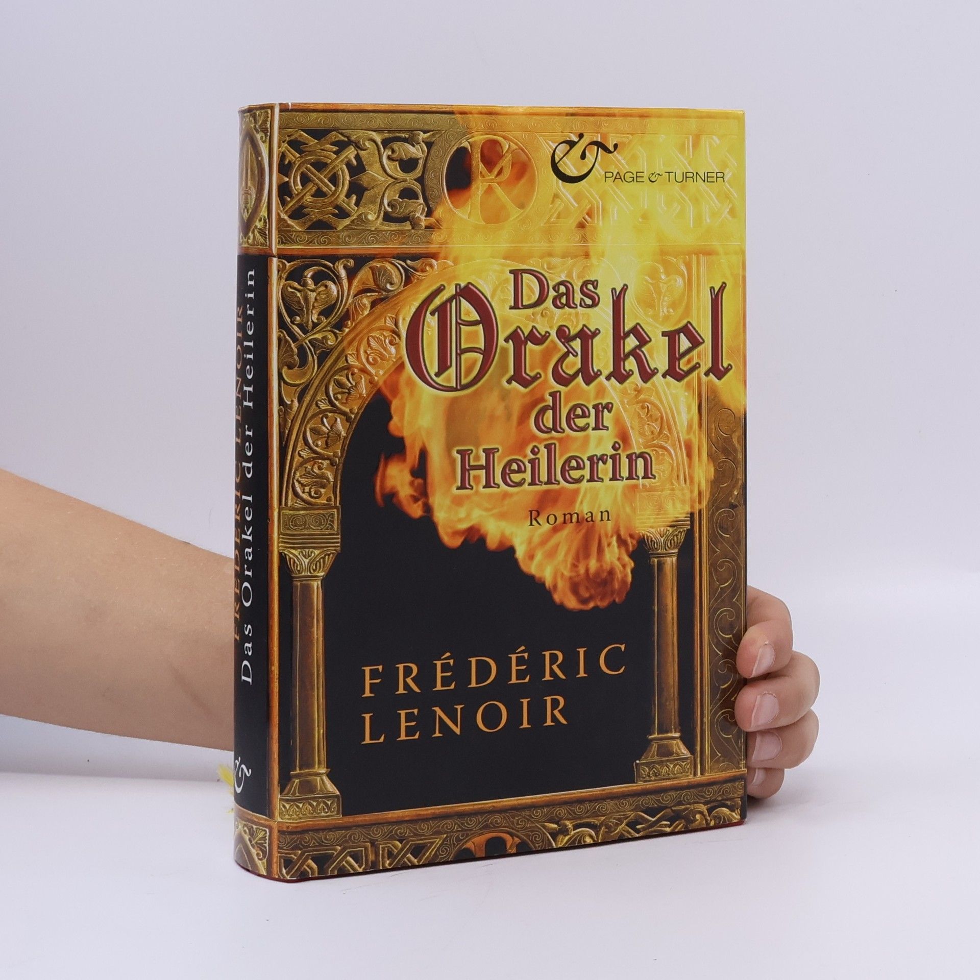 Frédéric Lenoir Das Orakel der Heilerin