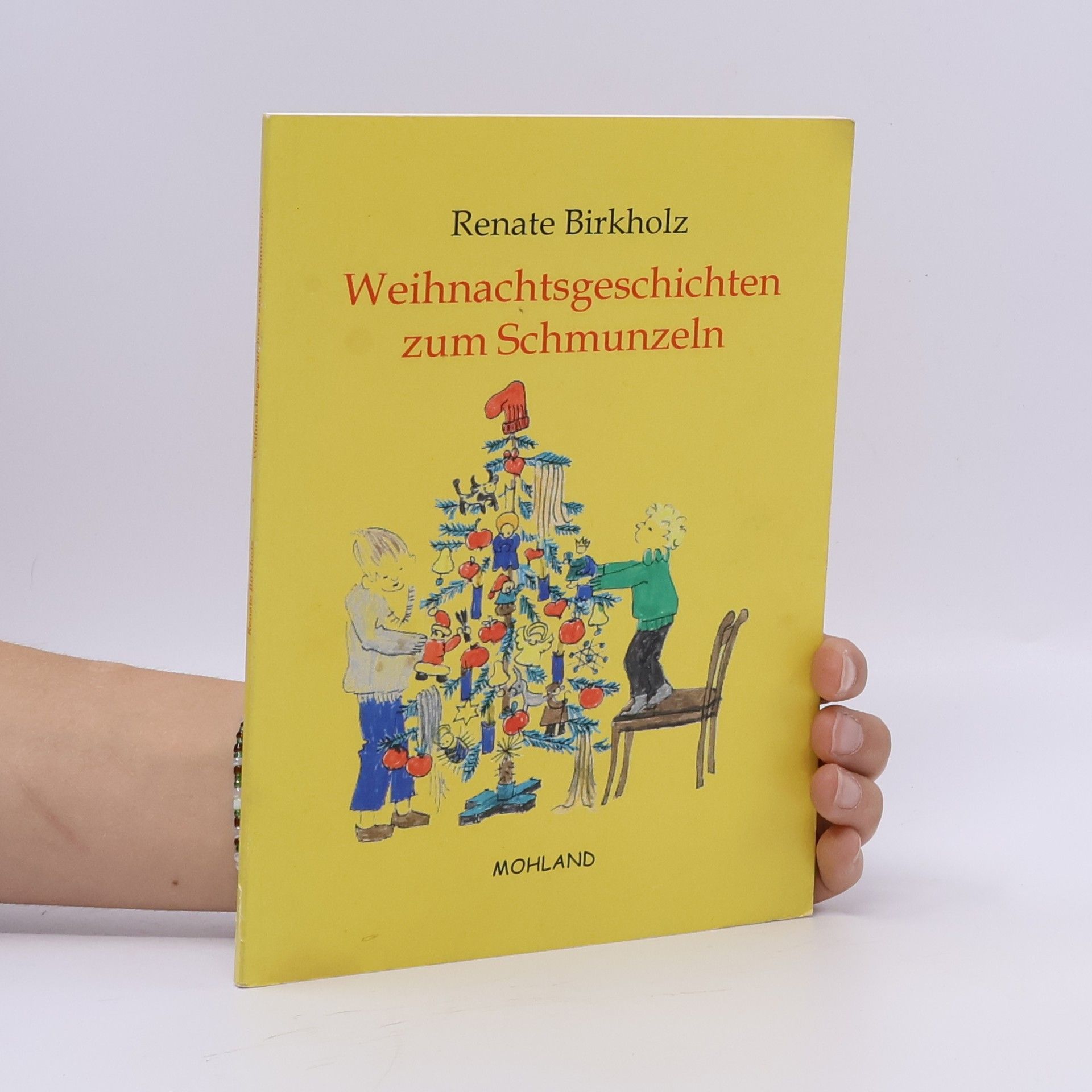 Renate Birkholz Weihnachtsgeschichten zum Schmunzeln