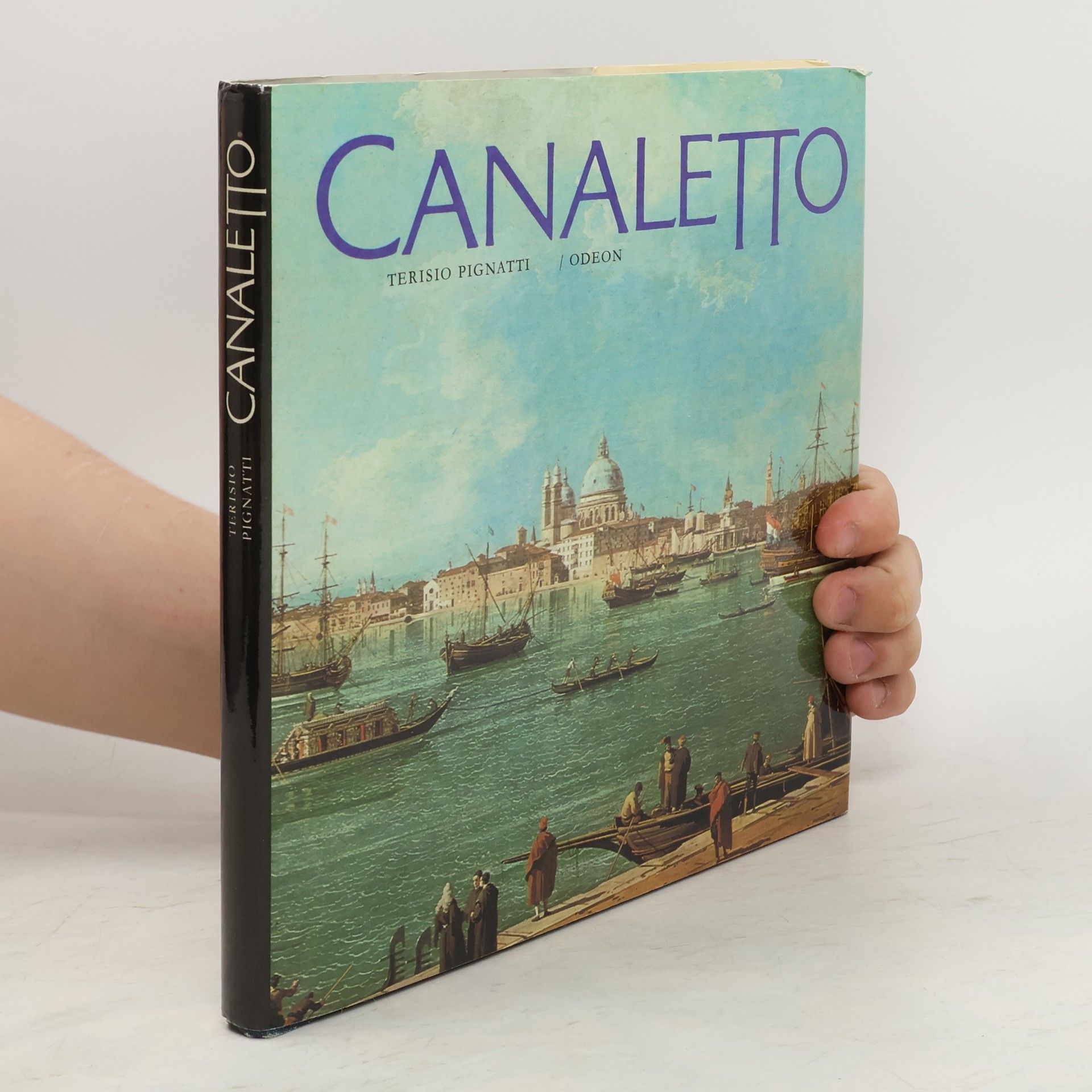 Terisio Pignatti Canaletto