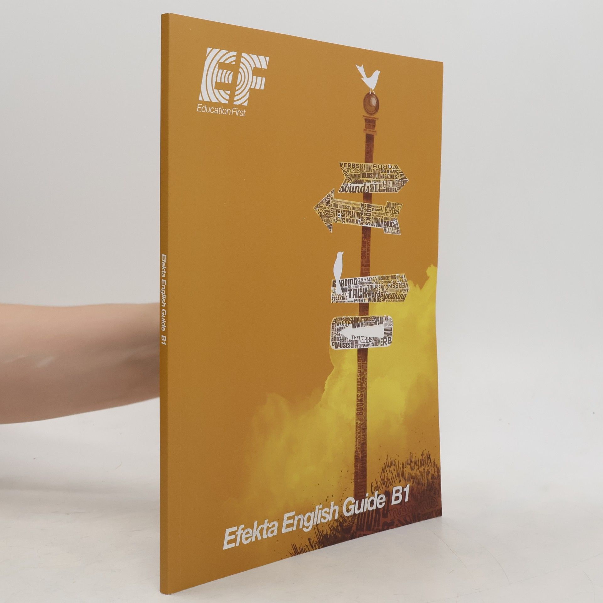 kolektiv Efekta English Guide B1
