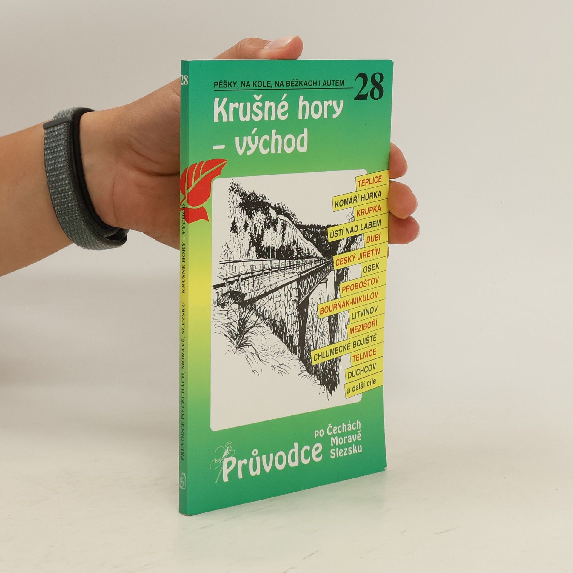 Peter David Krušné hory - východ