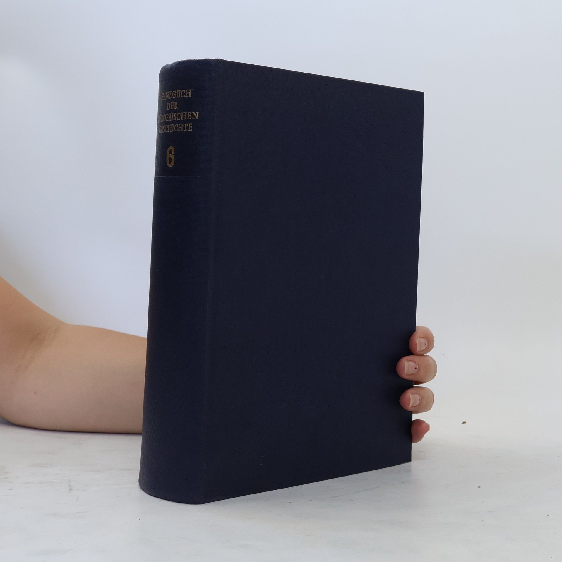 Theodor Schieder Handbuch der Europäischen Geschichte