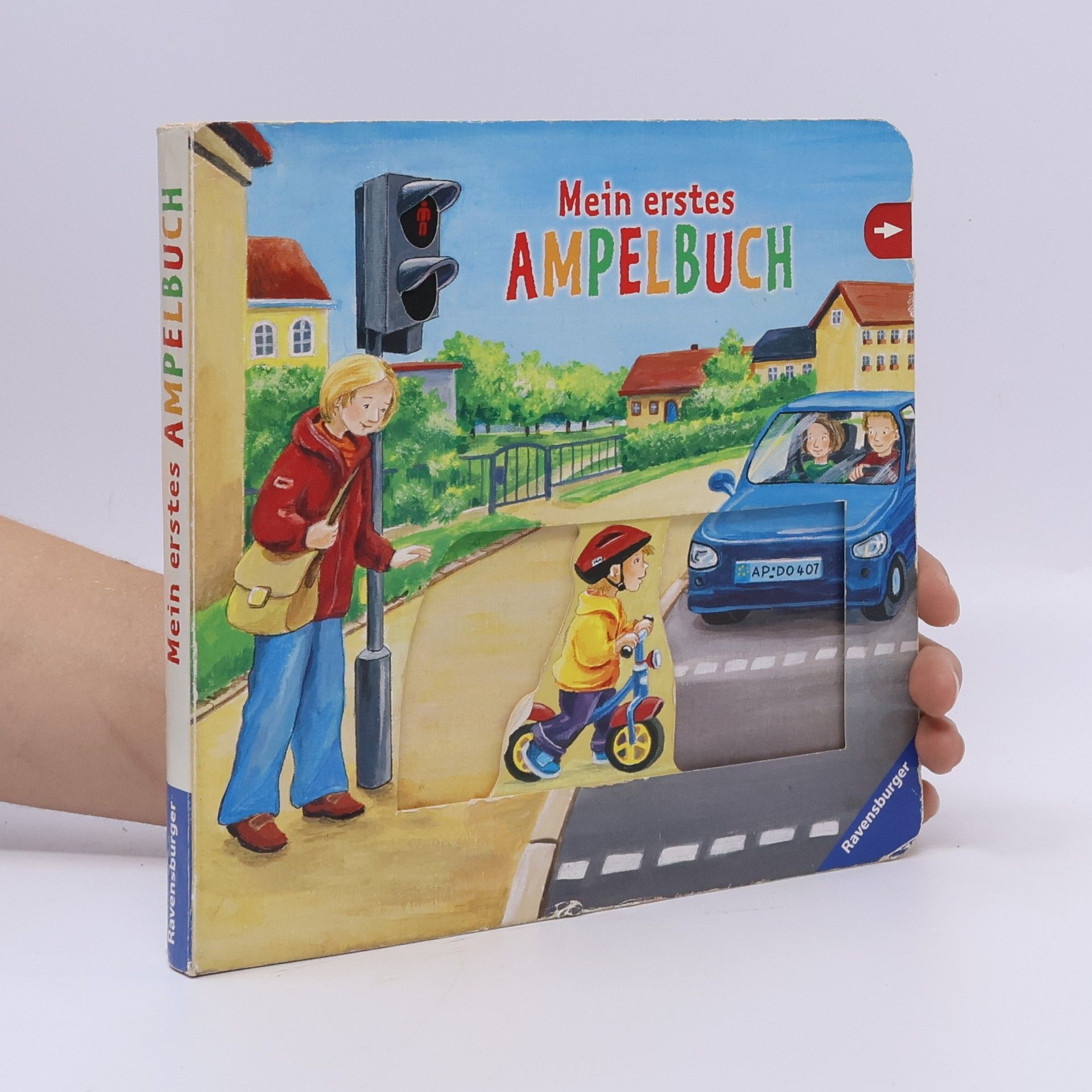 Antje Flad Mein erstes Ampelbuch