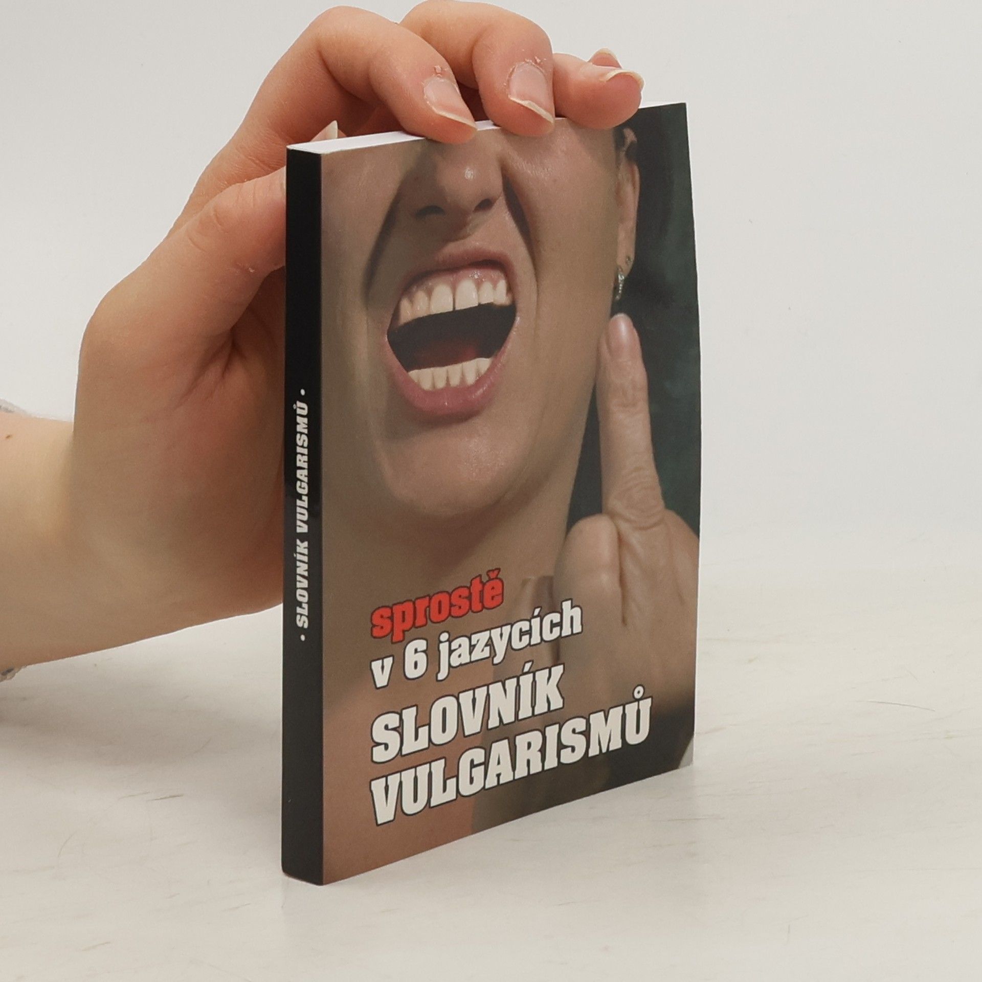 Kryštof Bajger Slovník vulgarismů : sprostě v 6 jazycích