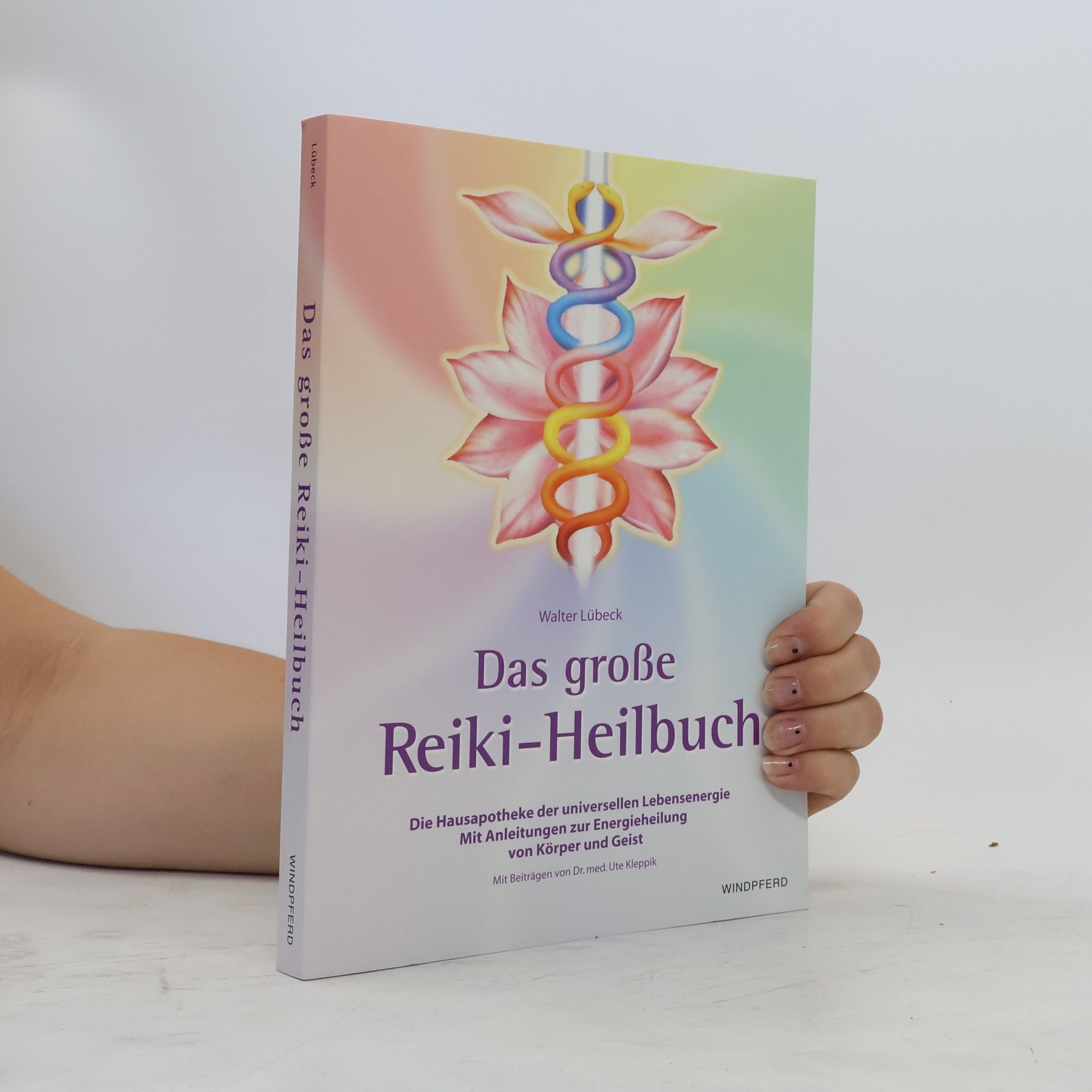 Walter Lübeck Das große Reiki-Heilbuch