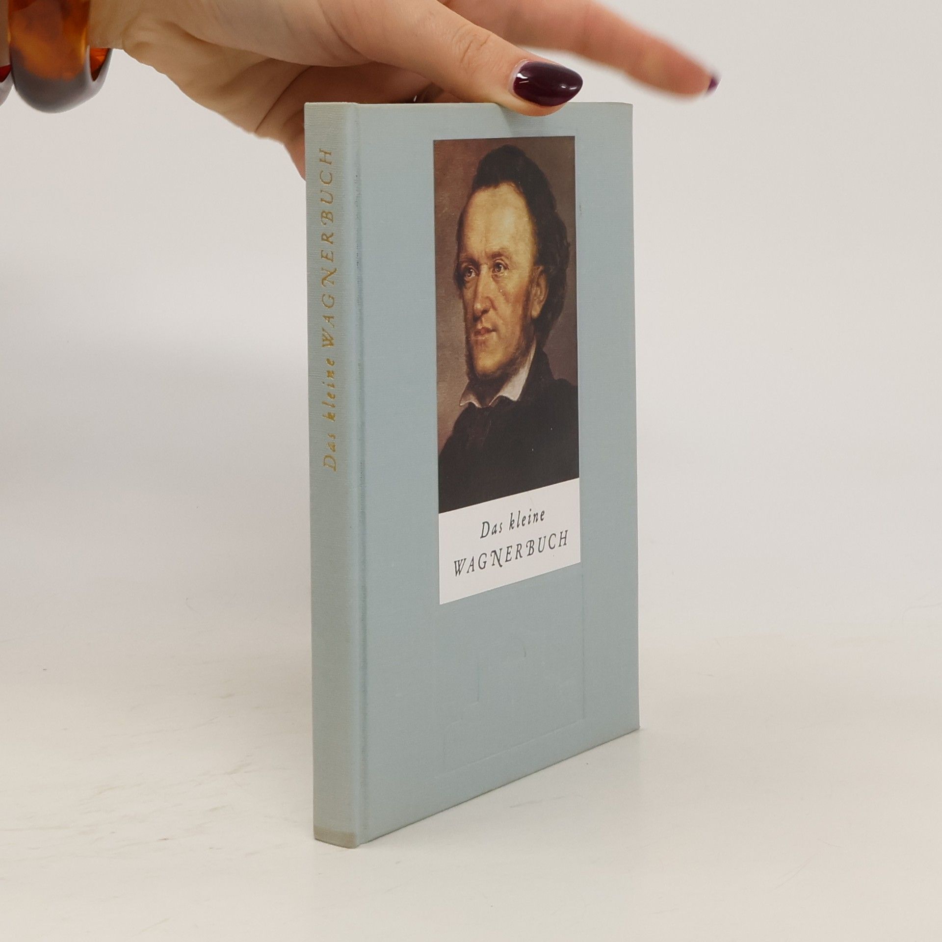 Martin Gregor-Dellin Das kleine Wagnerbuch