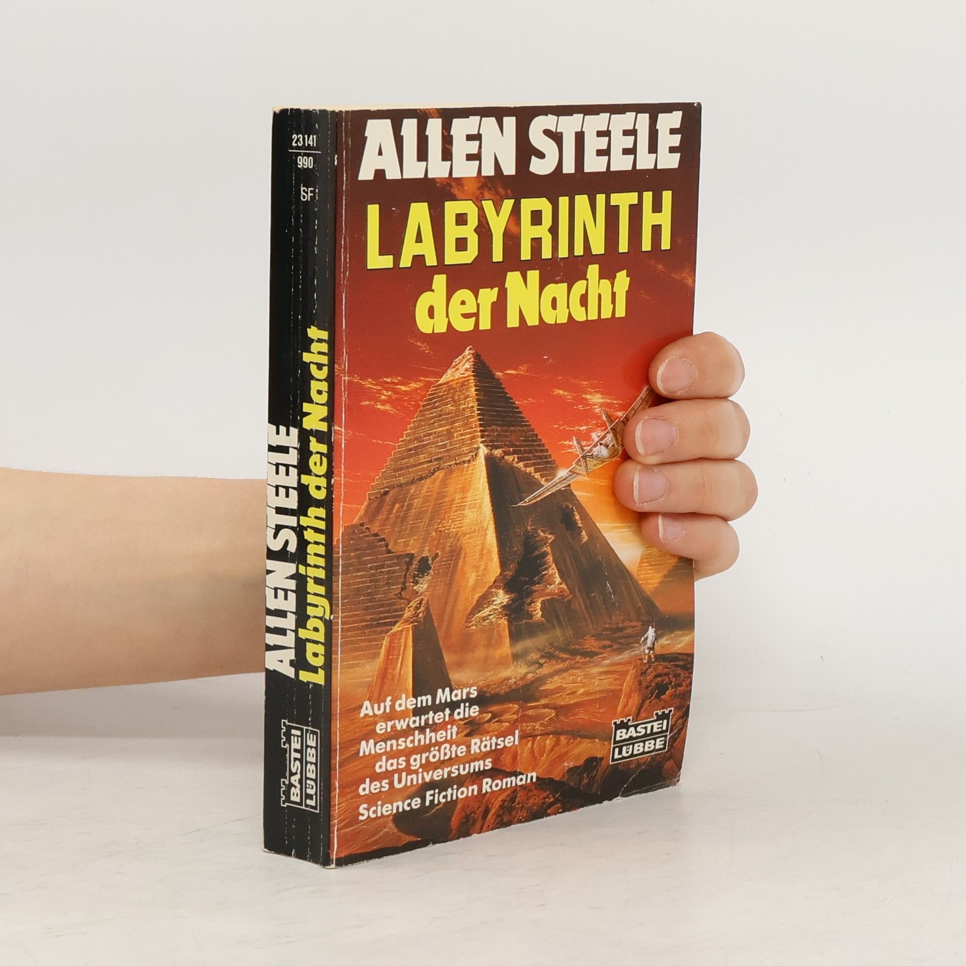 Allen Steele Labyrinth der Nacht